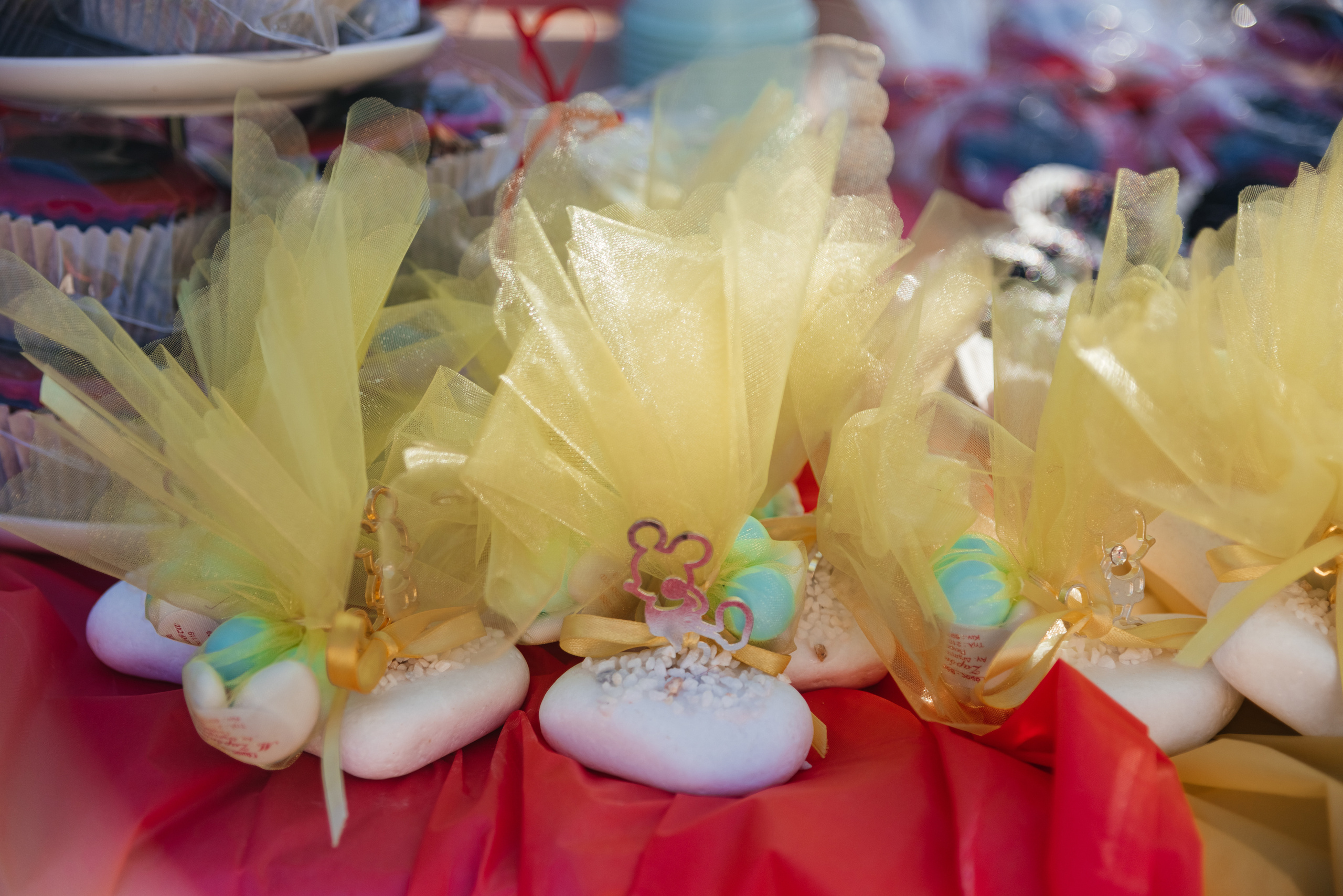 Doop van P - Een prachtige viering in Europa en Nederland. Destination Bruiloft Fotograaf in Nederland en Europa - Tina Yalova