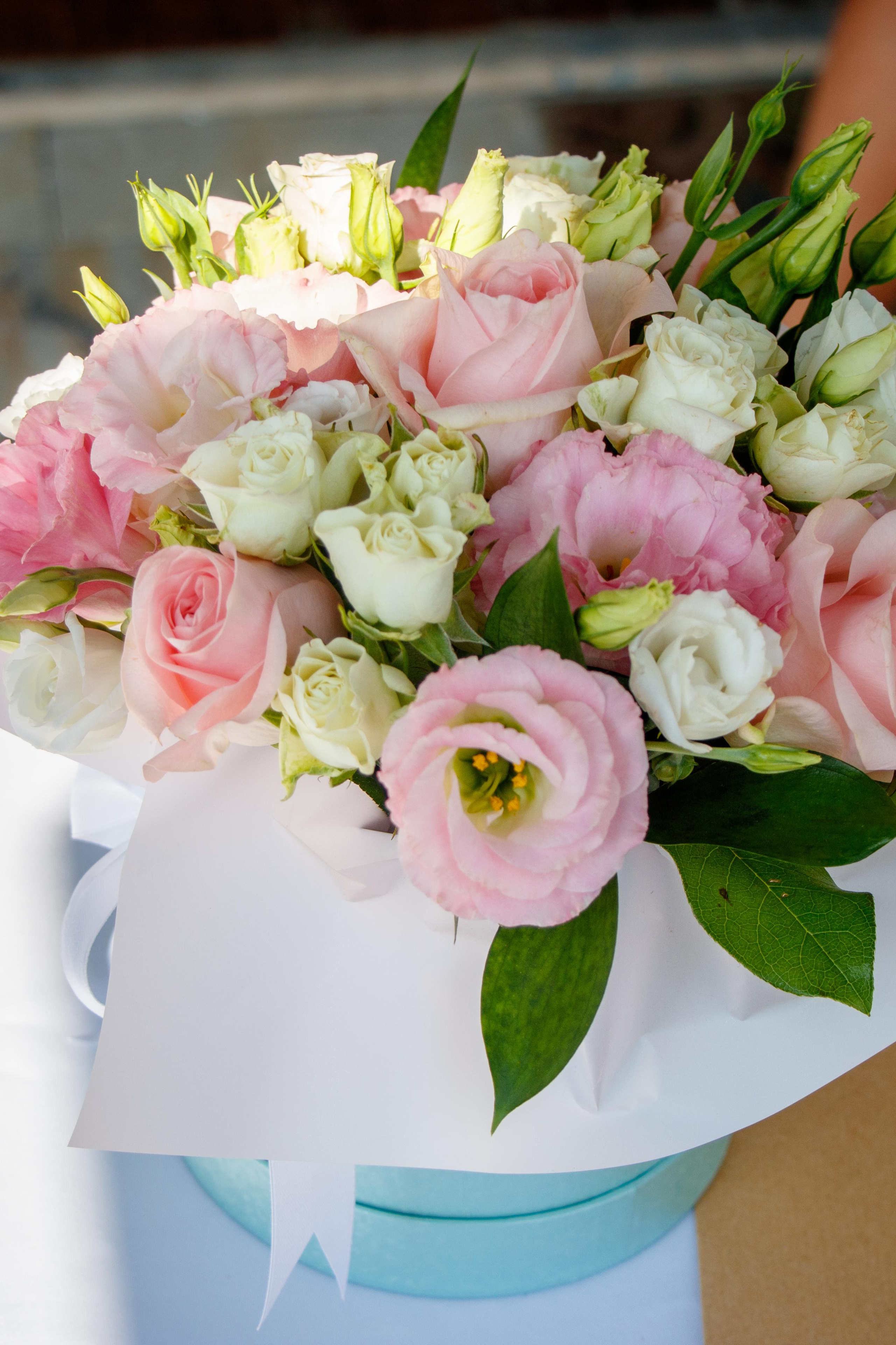 Wedding photoshoot in Agios Athanasios municipality, Cyprus