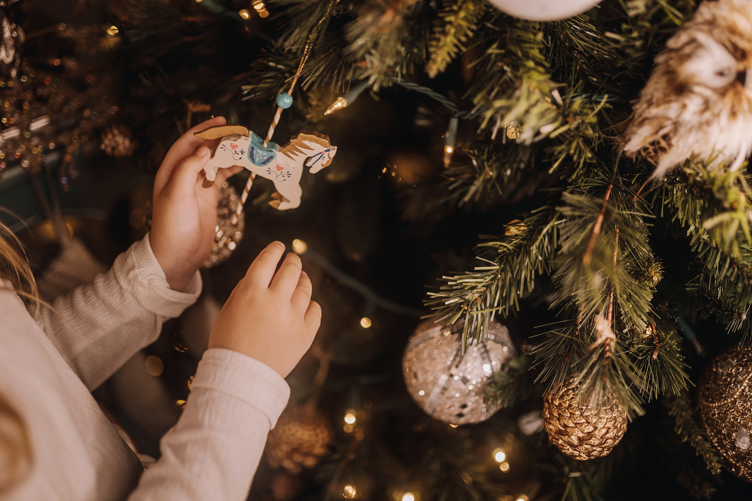 25.11.2023 Christmas Photoshoot. Wedding family event photographer in Chicago Nick Yushevich