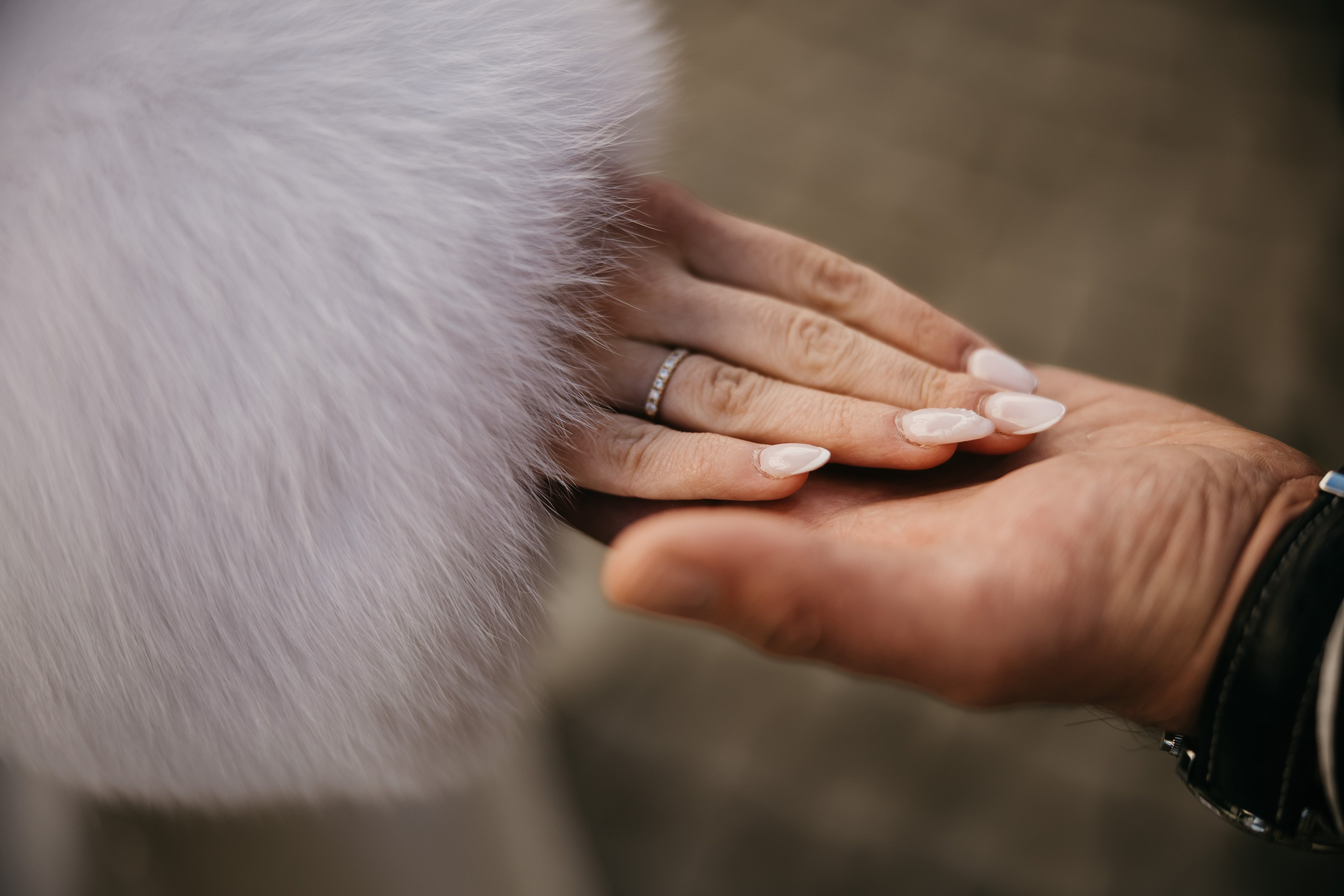 Sara&Josip. Fotografisanje svadbi, Novi Sad|Dream Point Wedding