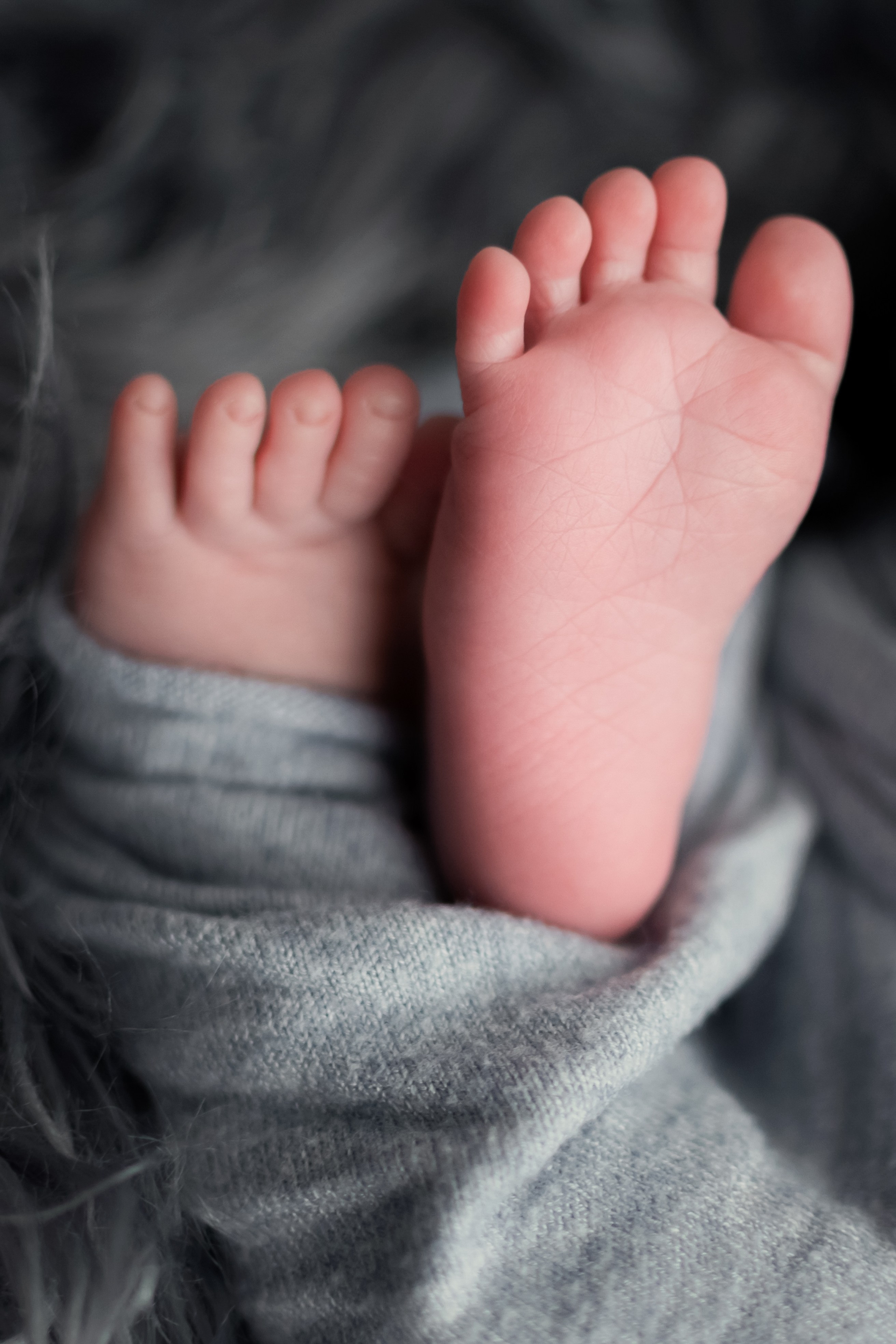 Neugeborene. Lena Horch