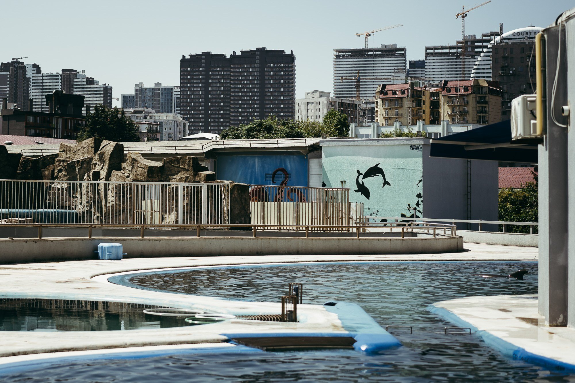 200 kilohertz. Stanislava Novgorodtseva — Photographer | Visual Artist | Educator