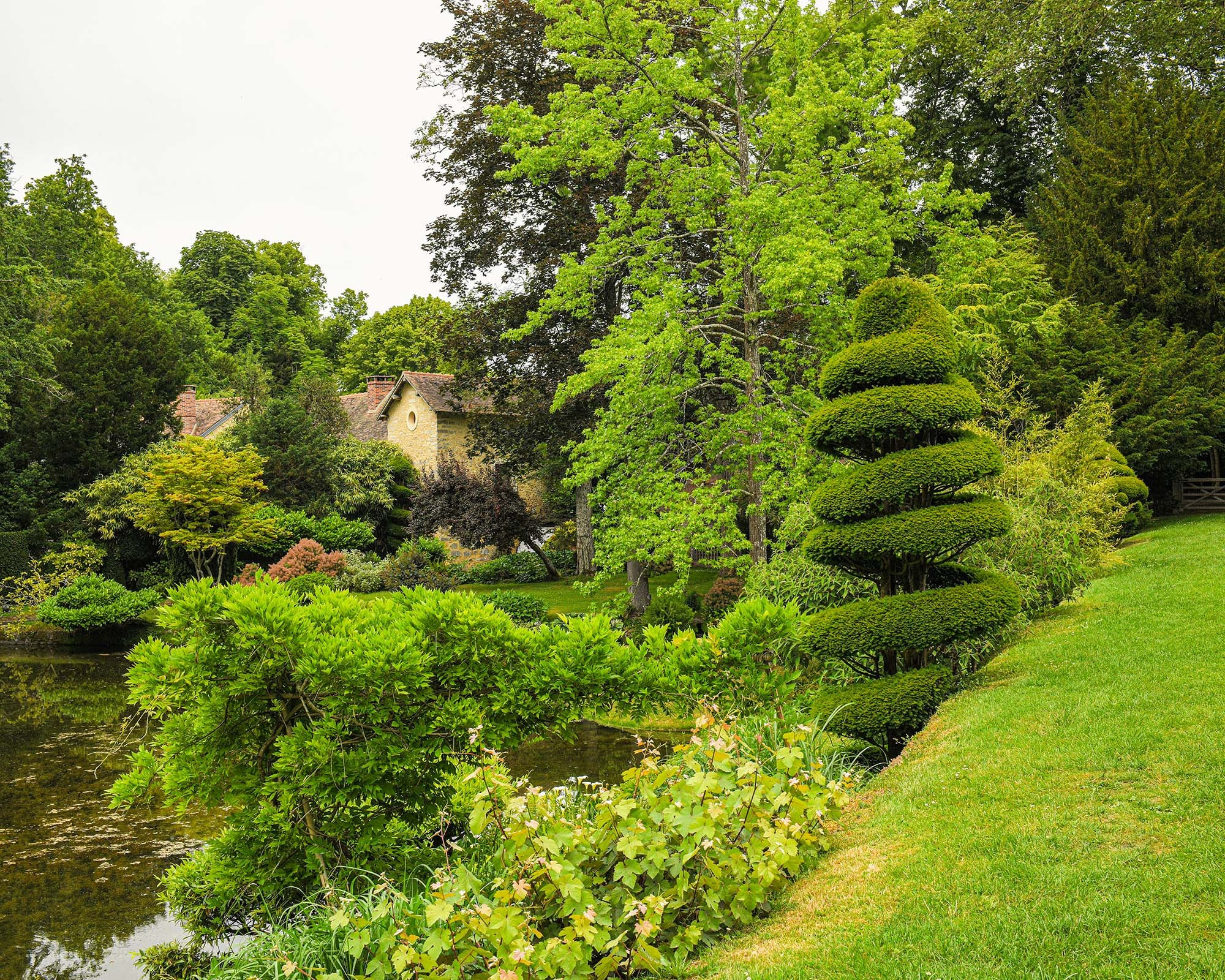 Elegant topiary and ornamental trees beside a reflective pond in the gardens of Château de Courances, showcasing refined French landscape design