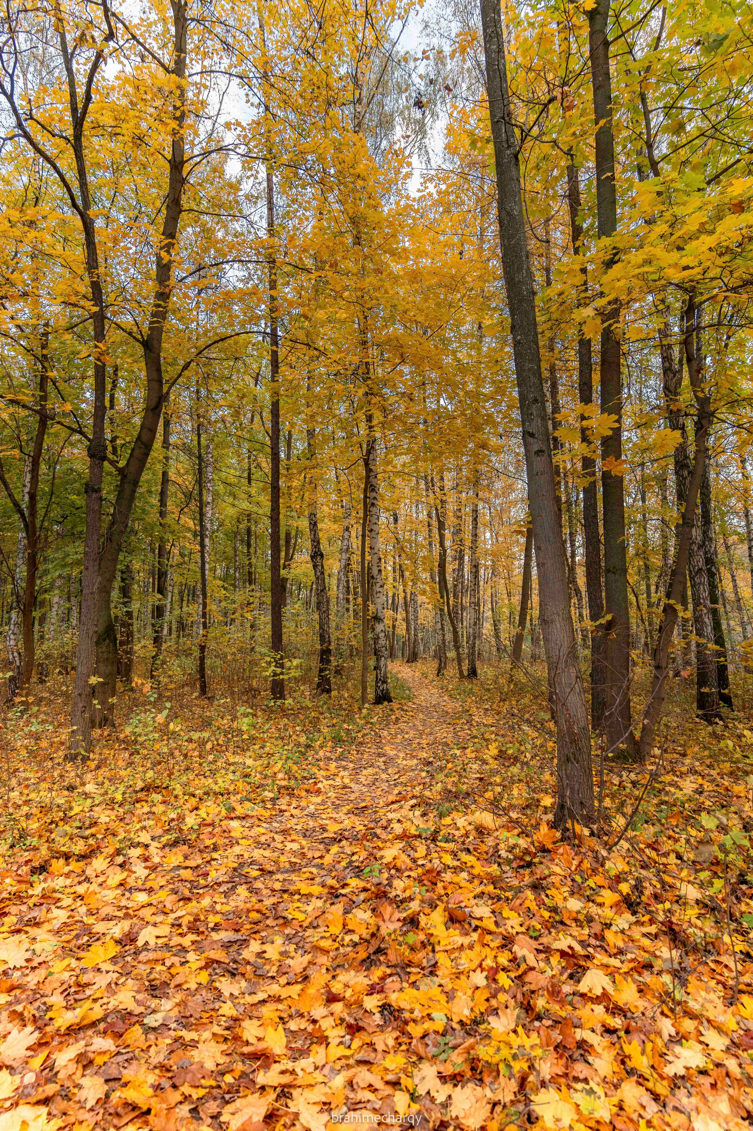 Фото. Брахим — фотограф