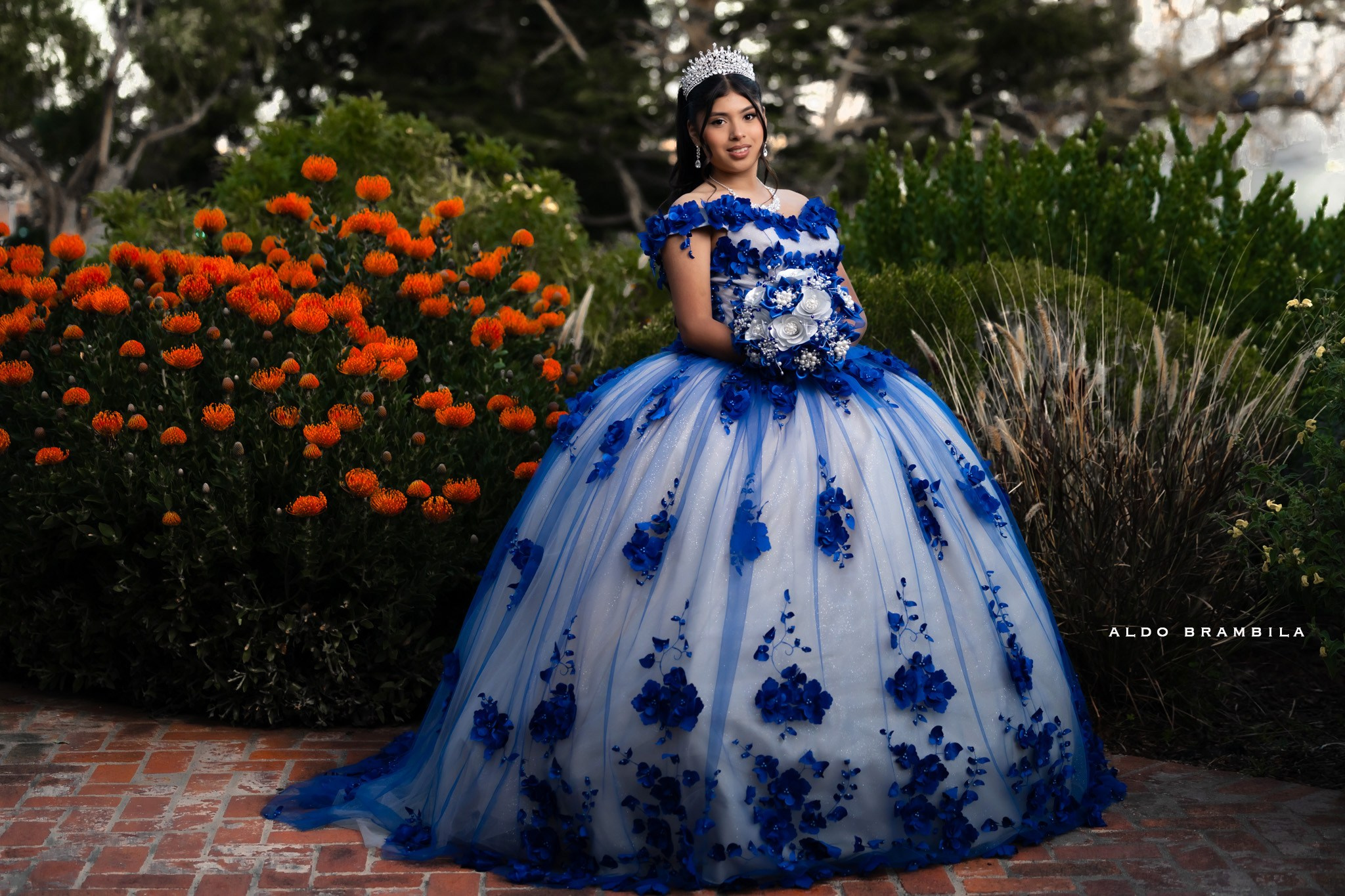 Quinceañeras. Aldo Brambila fotografo de eventos y sociales
