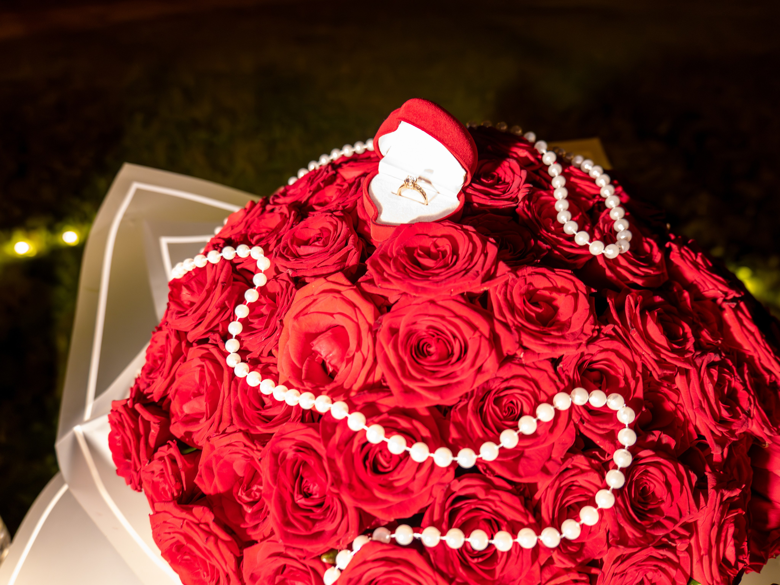 Alina&Ion. Fotograful și Cameramanul familiei dvs în Franța Paul Photographer