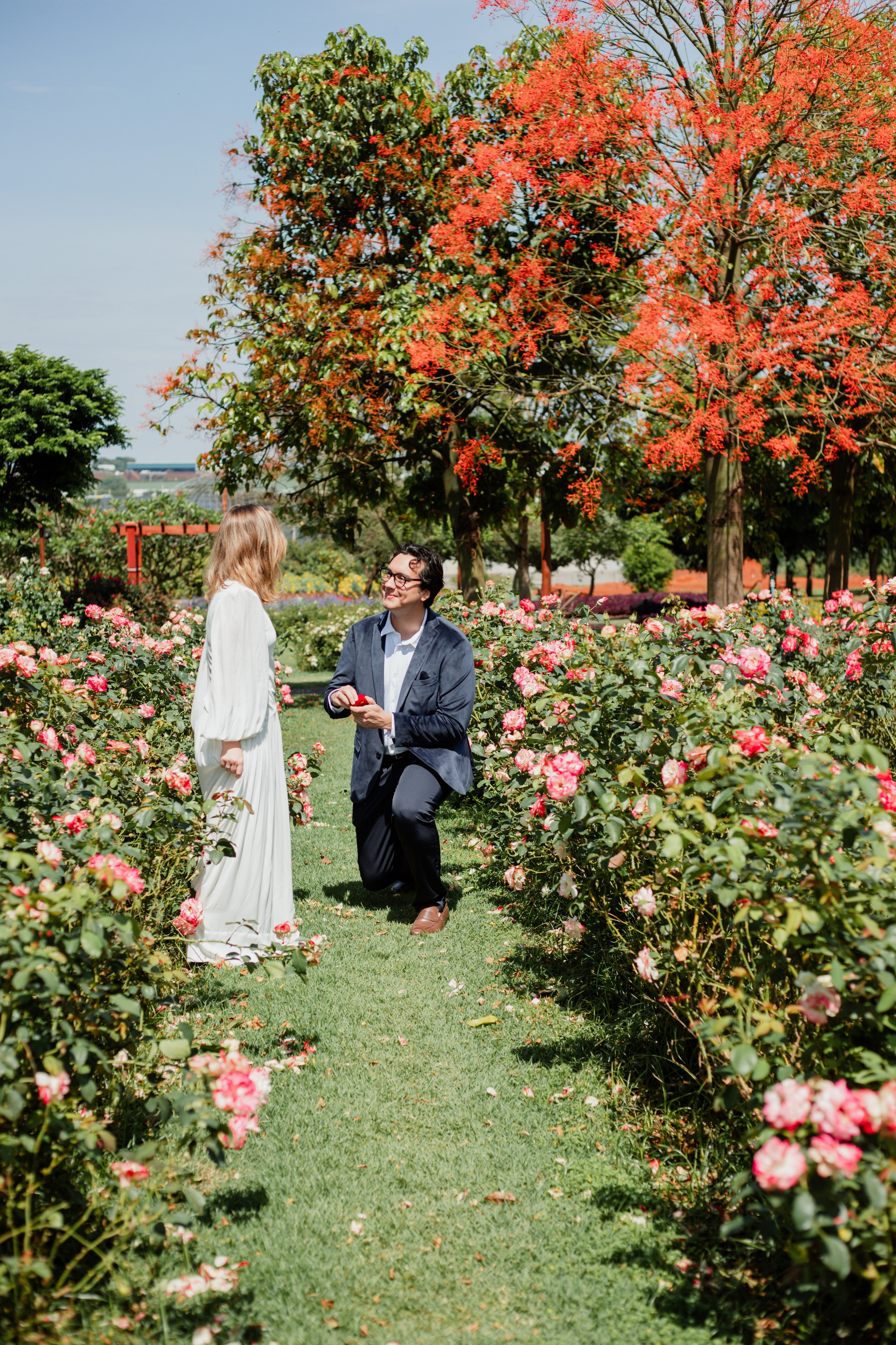 Pedido de Casamento /Bloemen Park. Joyce Maria Fotografia | Fotógrafa em Holambra