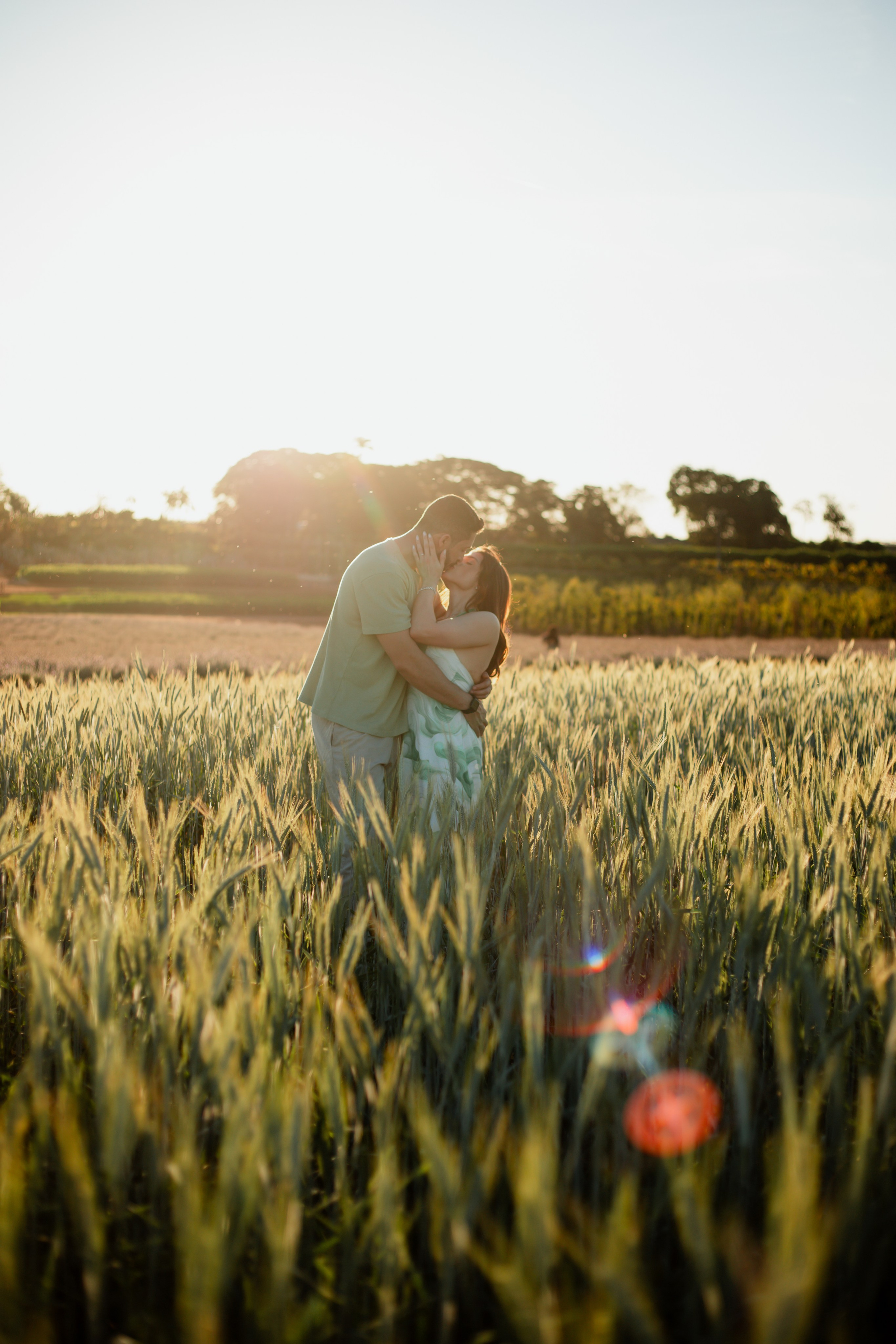 Pedido de Casamento em Holambra. Joyce Maria Fotografia | Fotógrafa em Holambra
