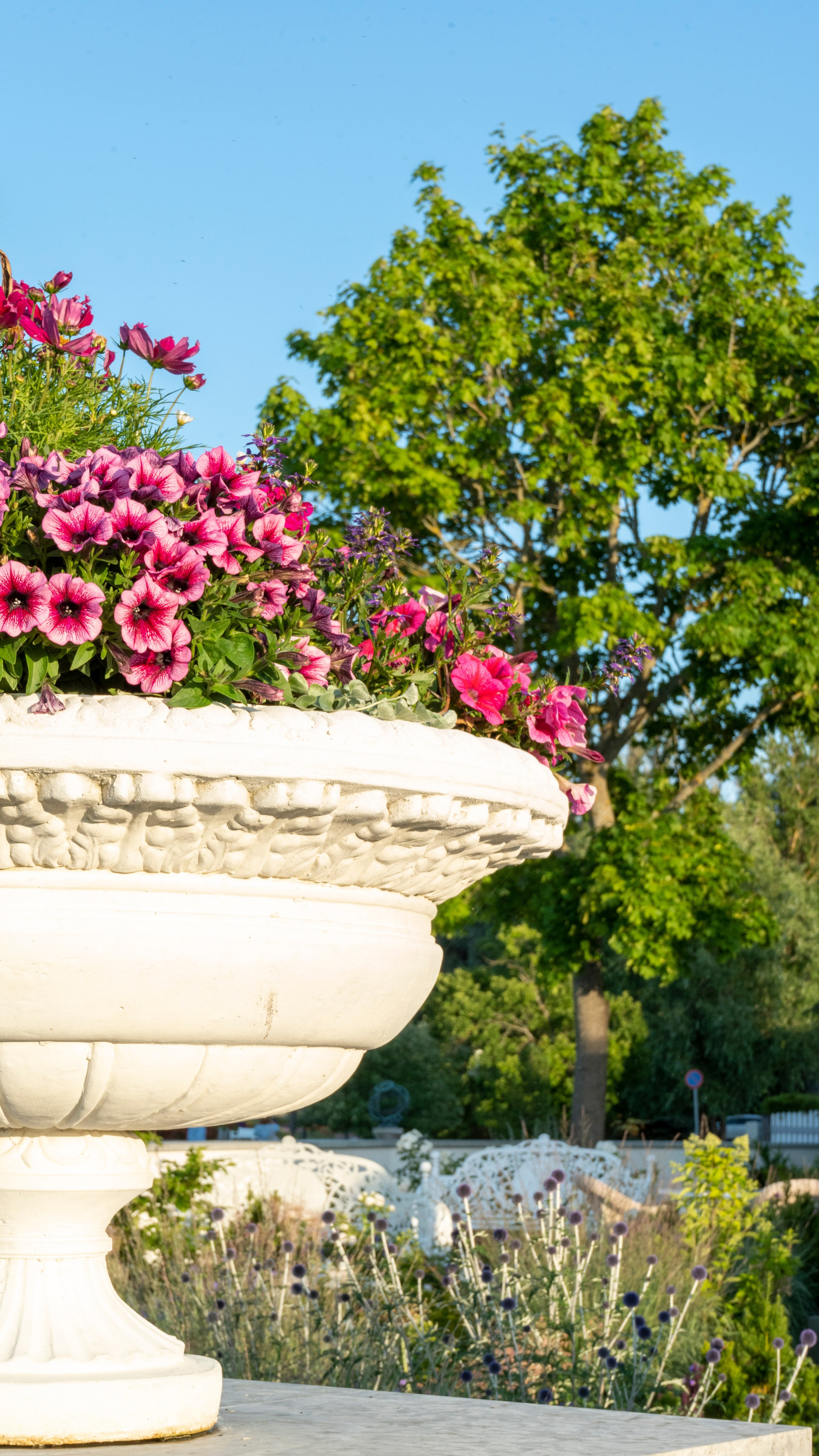 Whispers of Estonia. Photography | Videography | Marketing