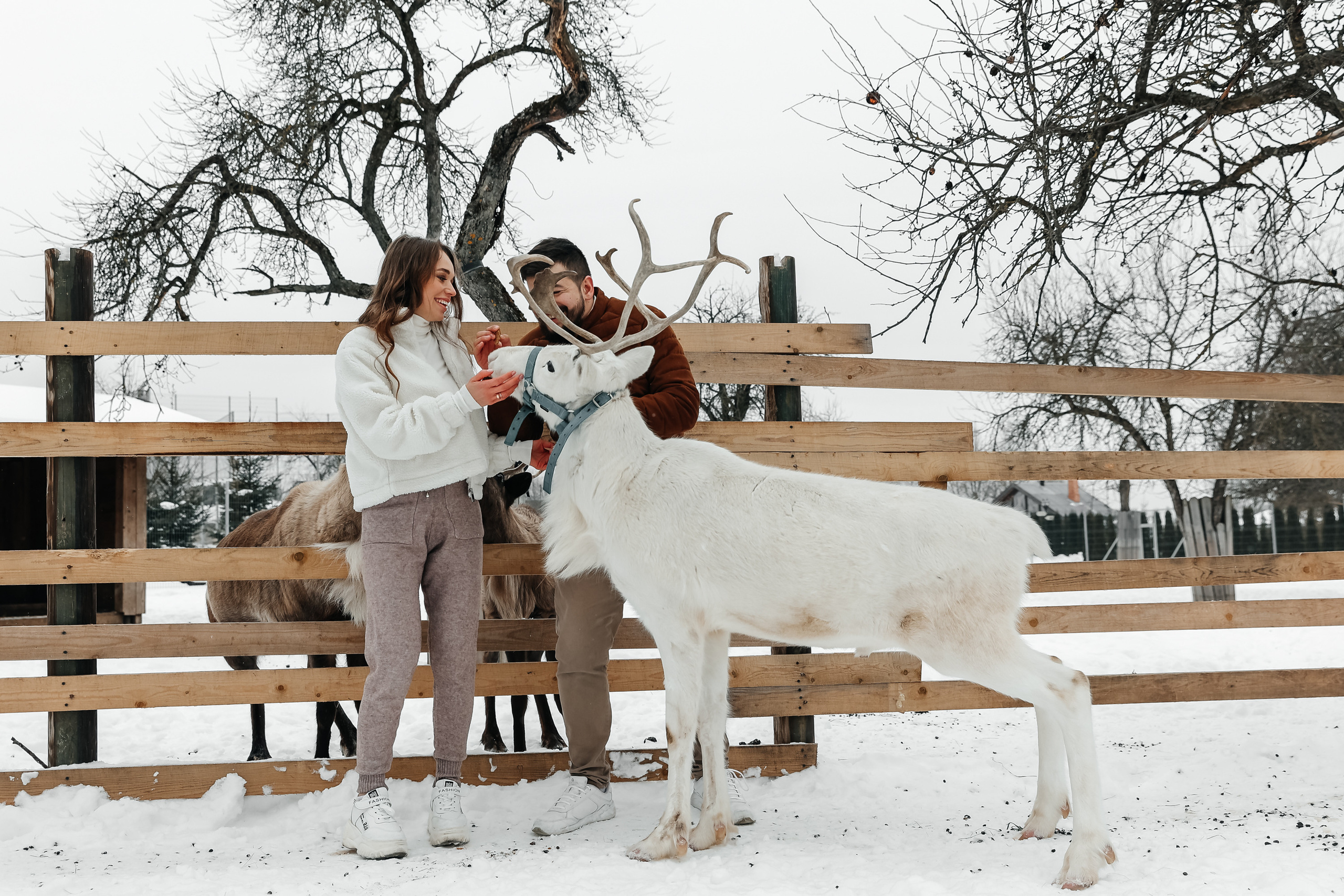 Winter walk. Wedding photographer in Florida
