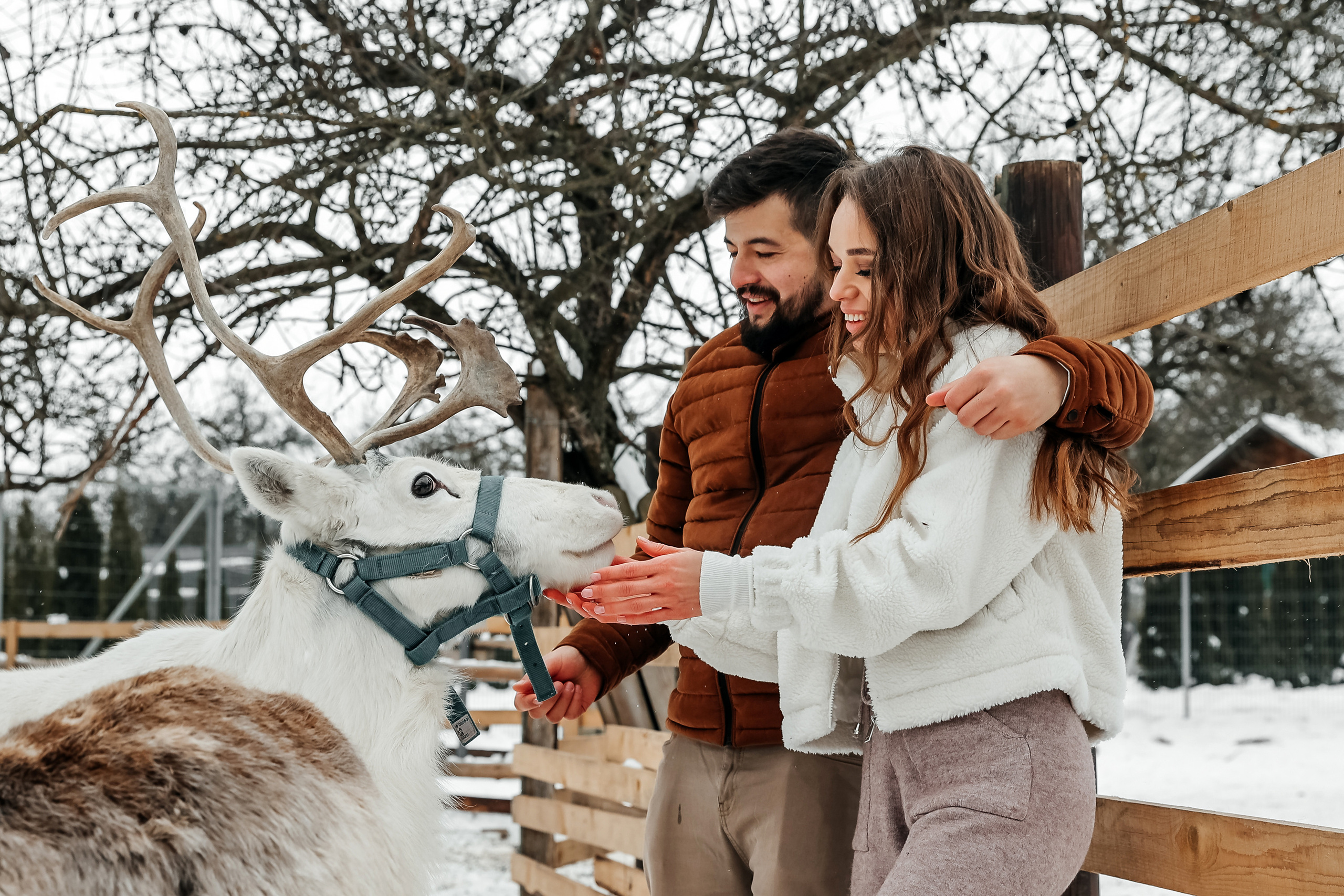 Winter walk. Wedding photographer in Florida