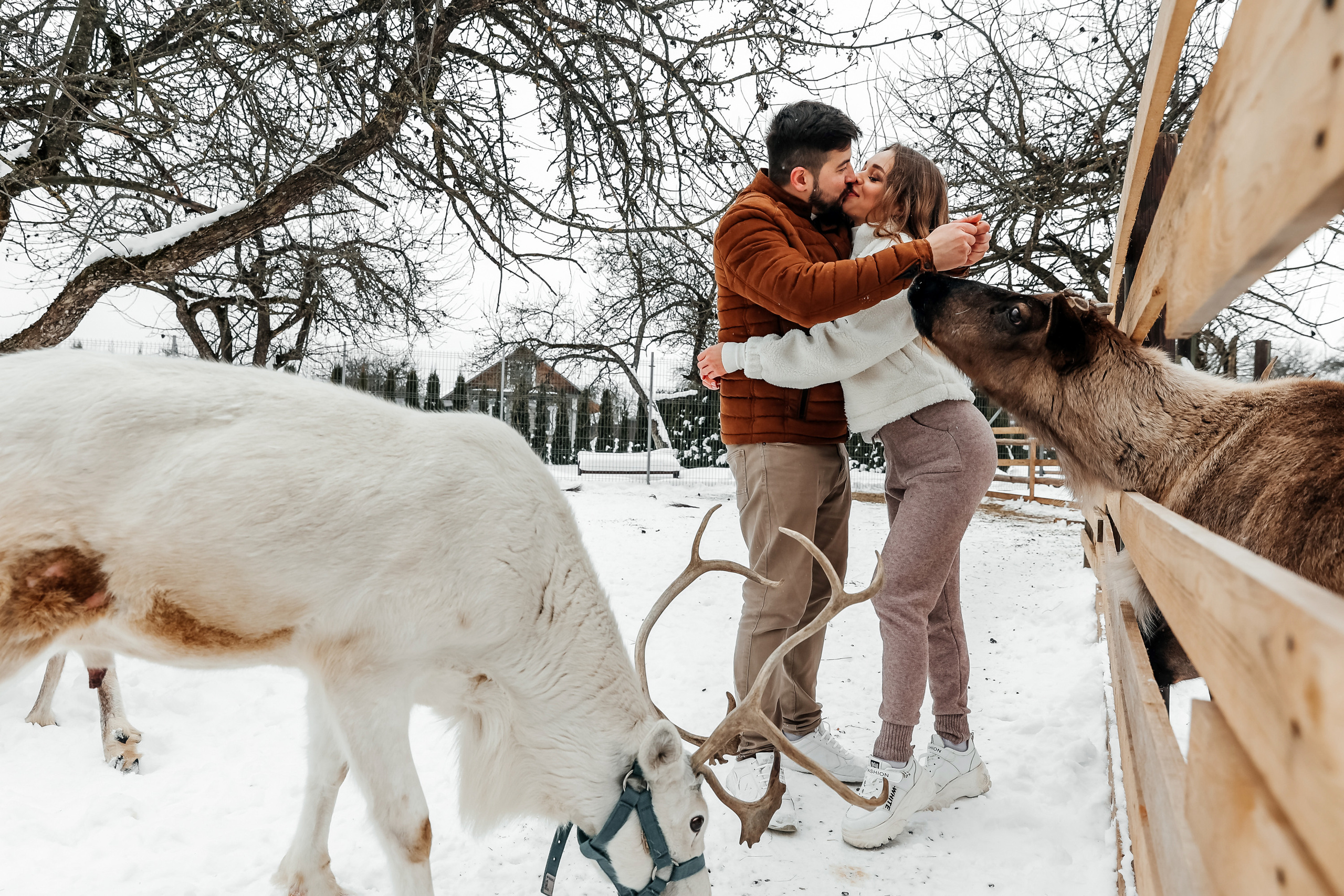 Winter walk. Wedding photographer in Florida