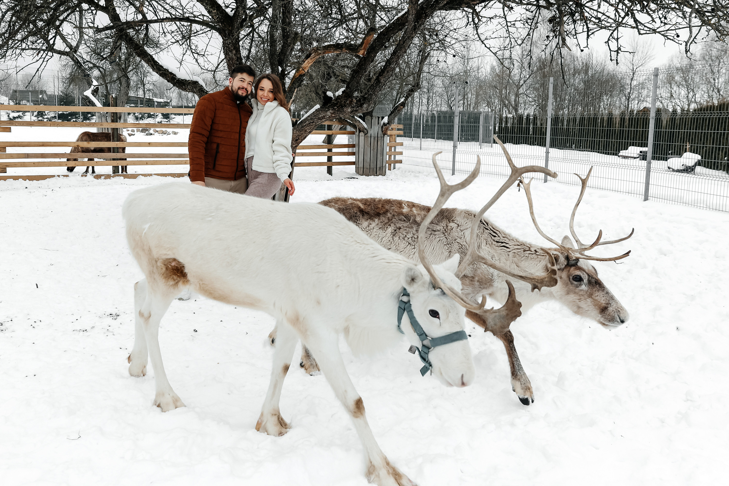 Winter walk. Wedding photographer in Florida