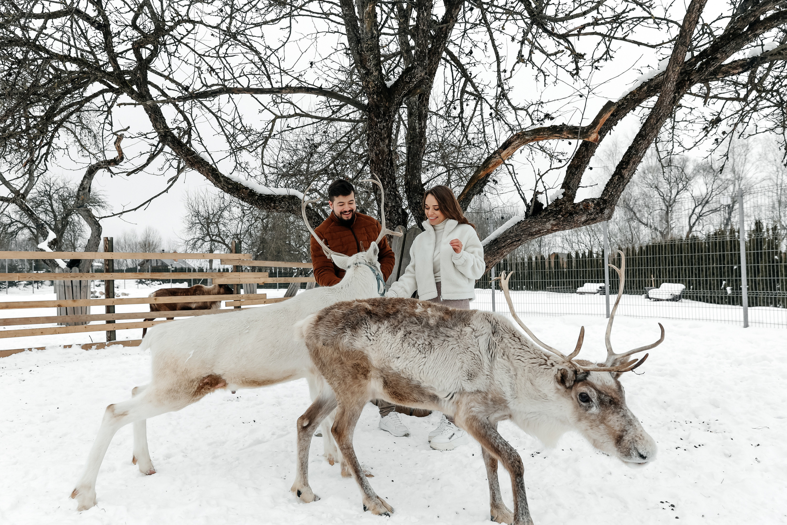 Winter walk. Wedding photographer in Florida