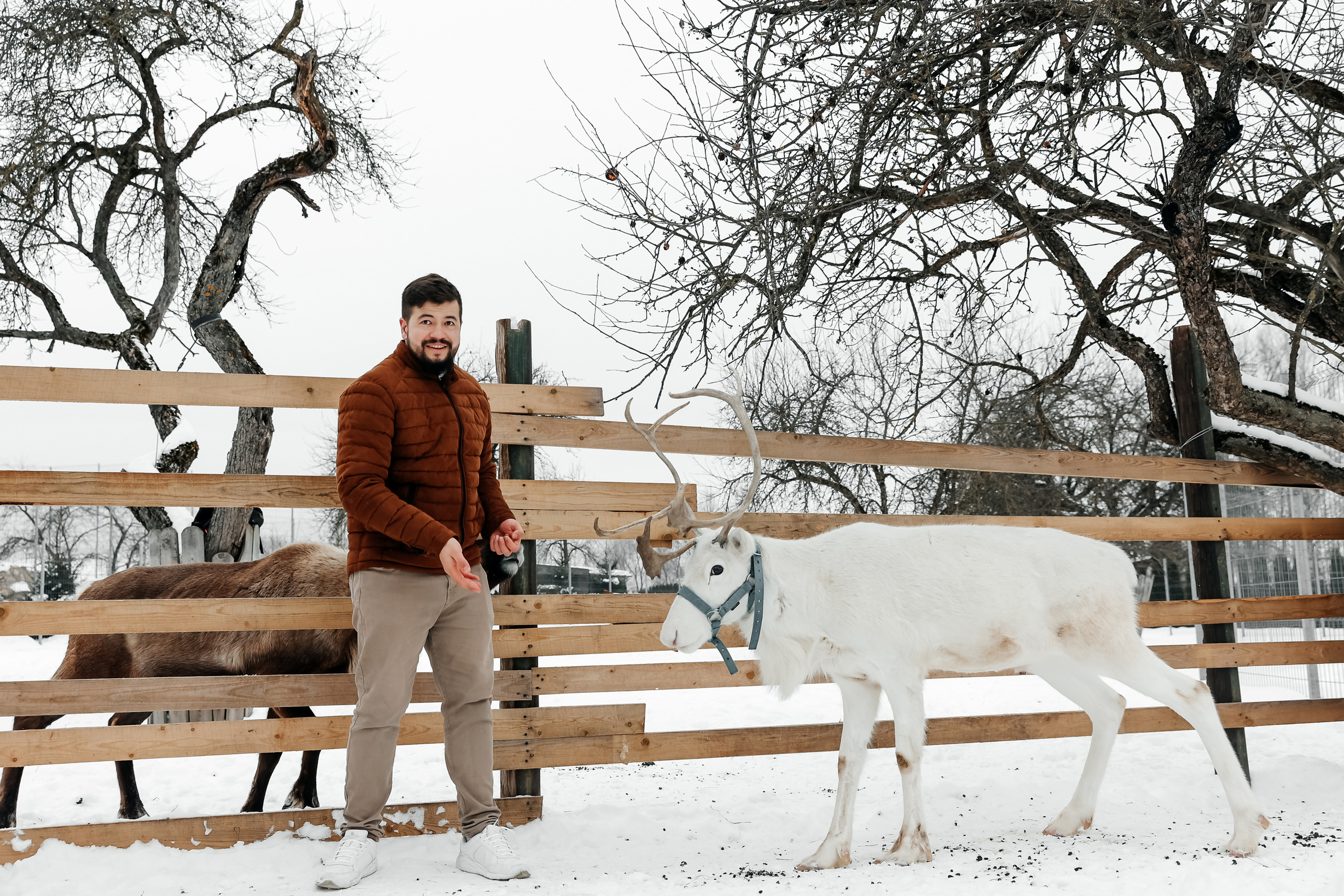 Winter walk. Wedding photographer in Florida