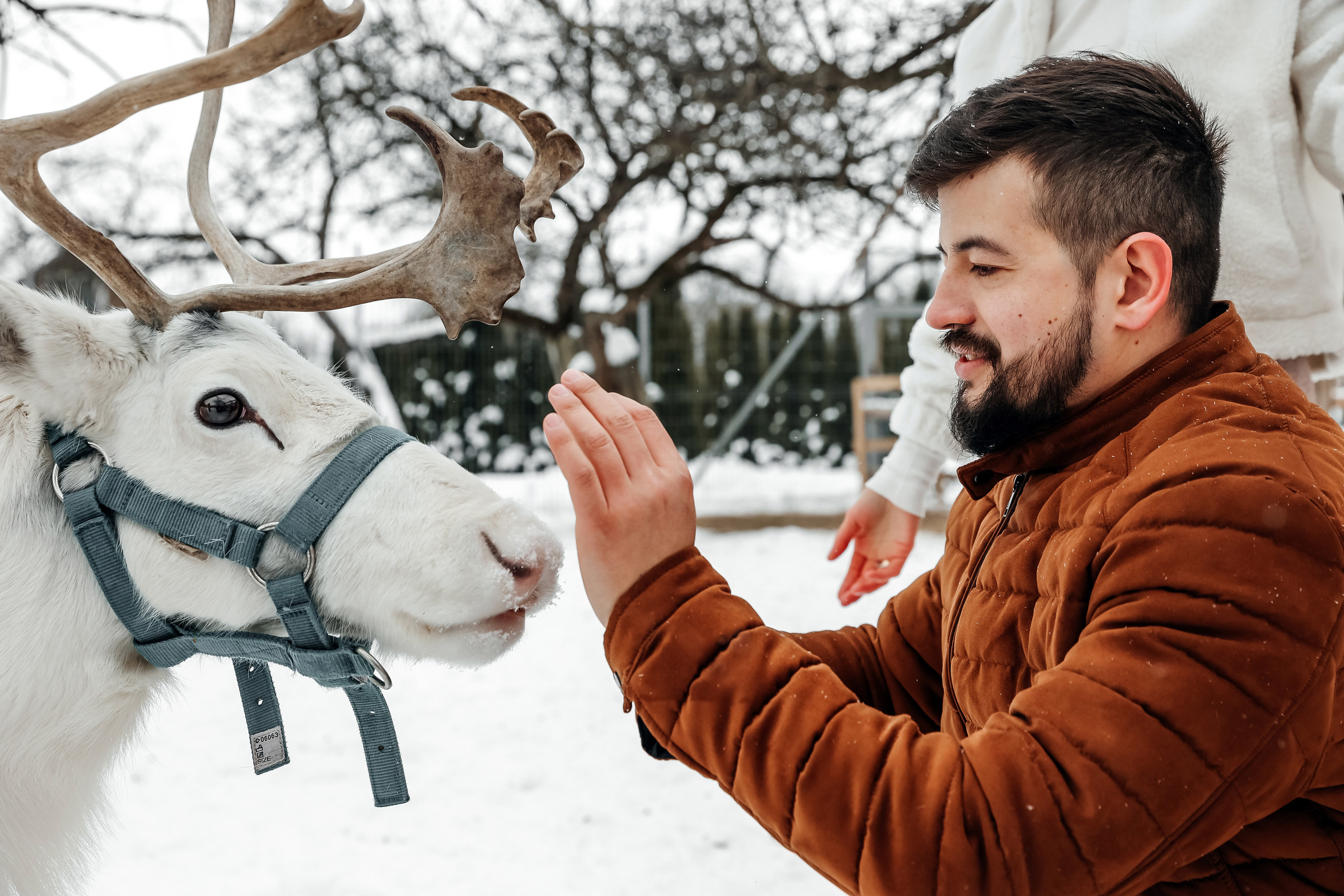 Winter walk. Wedding photographer in Florida