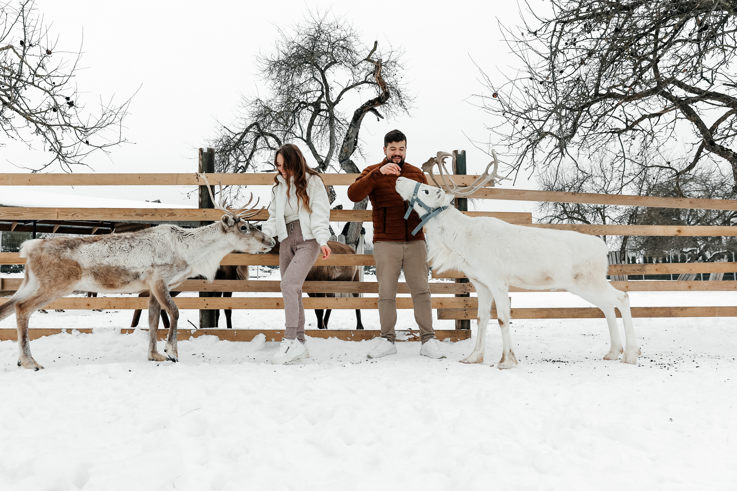 Winter walk. Wedding photographer in Florida