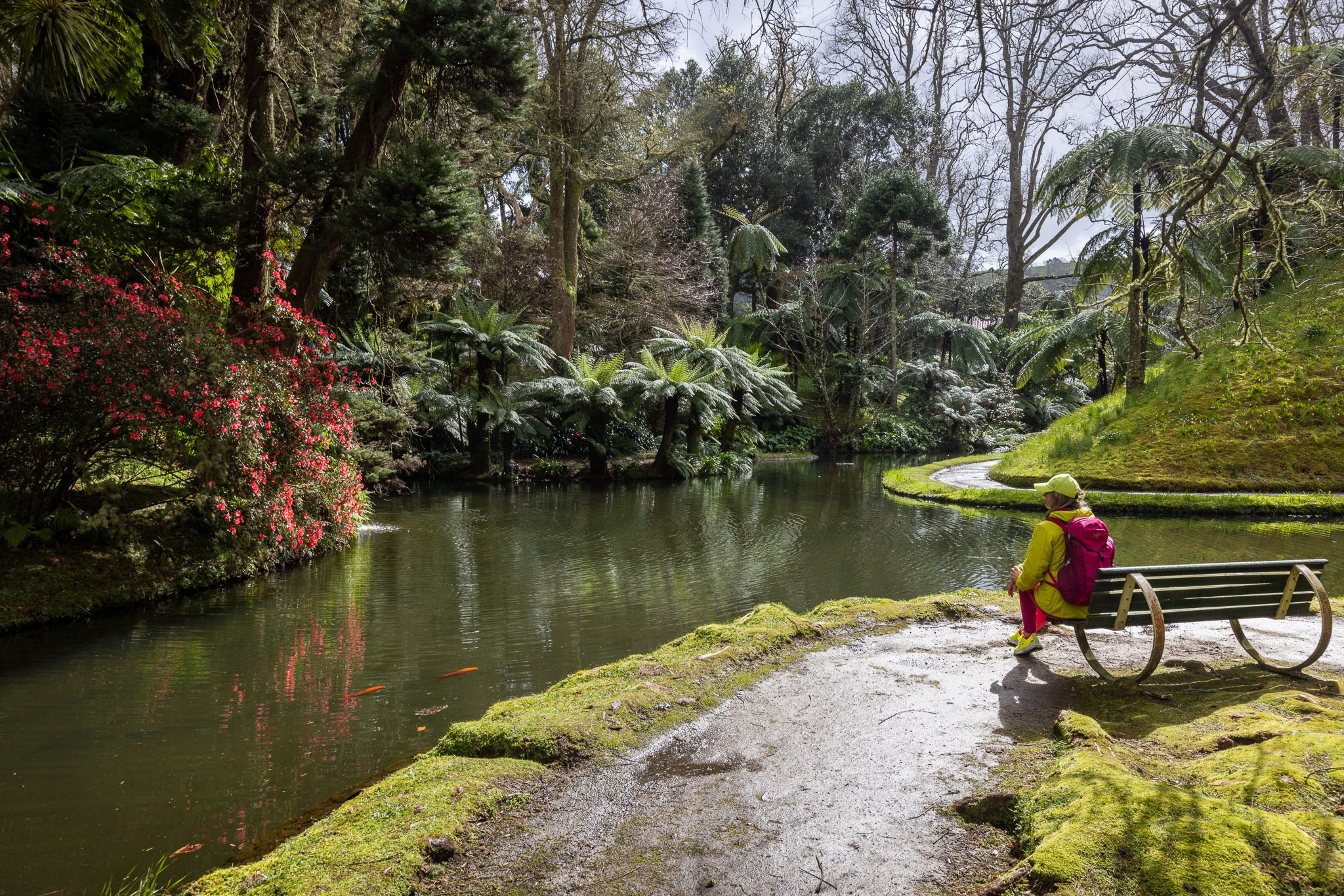 Madeira And Azores. Pet, Senior, Landscape, portrait studio, photographer in Miami and Sou