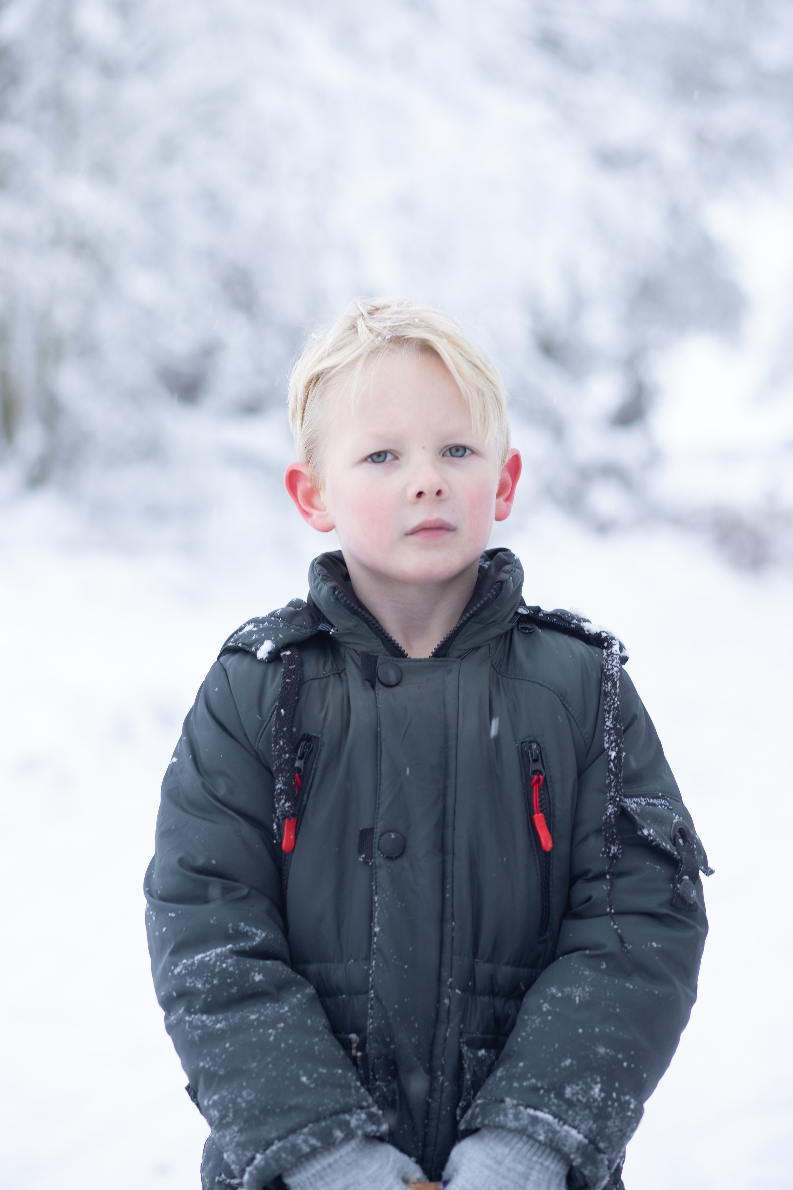 Ein Weihnachtsmärchen. Olena Fritz Fotografie