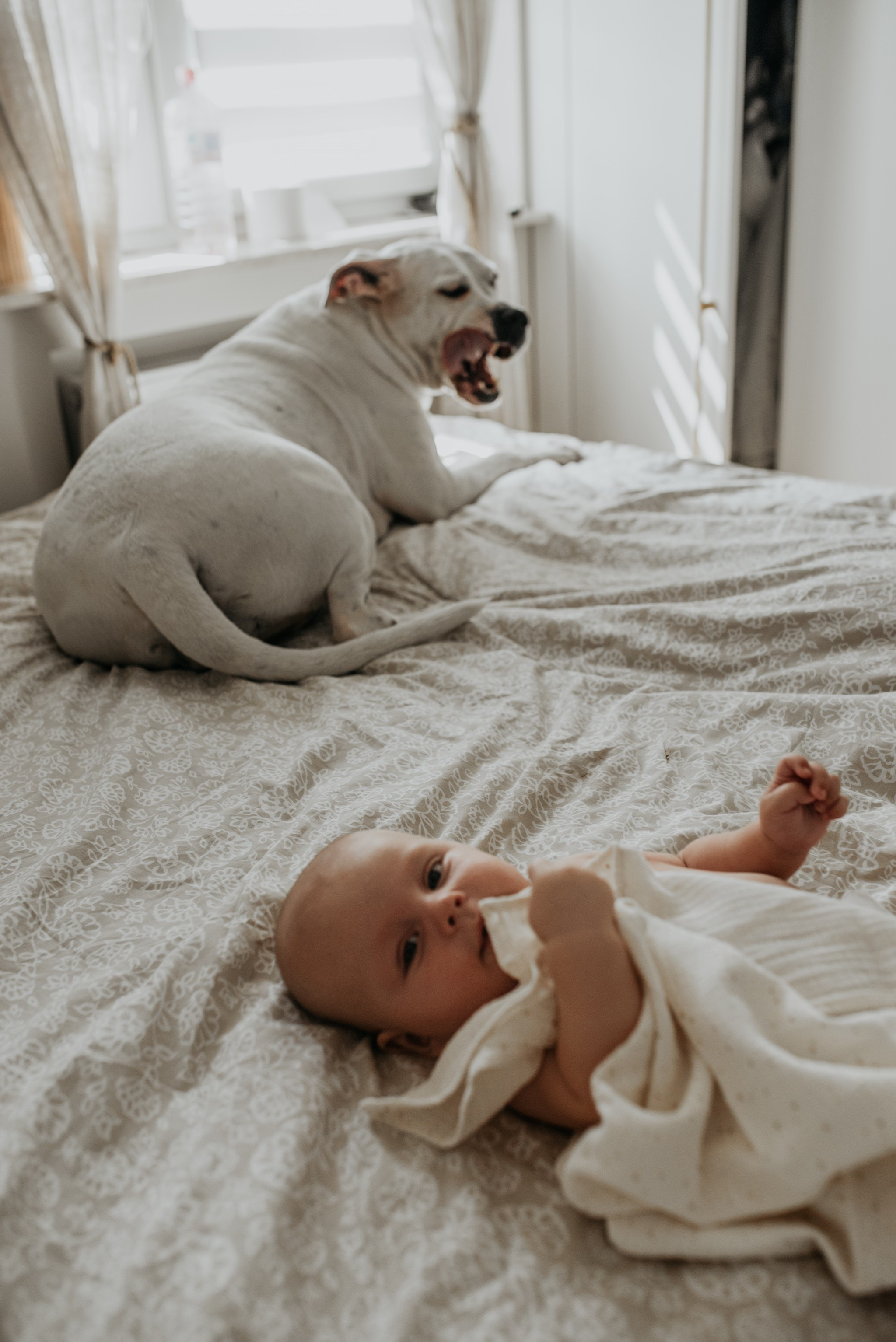 Chrzest Św. Jasia. Dominika Strachacka Fotografia | Fotograf ślubny i rodzinny Opole Lubelskie Lublin