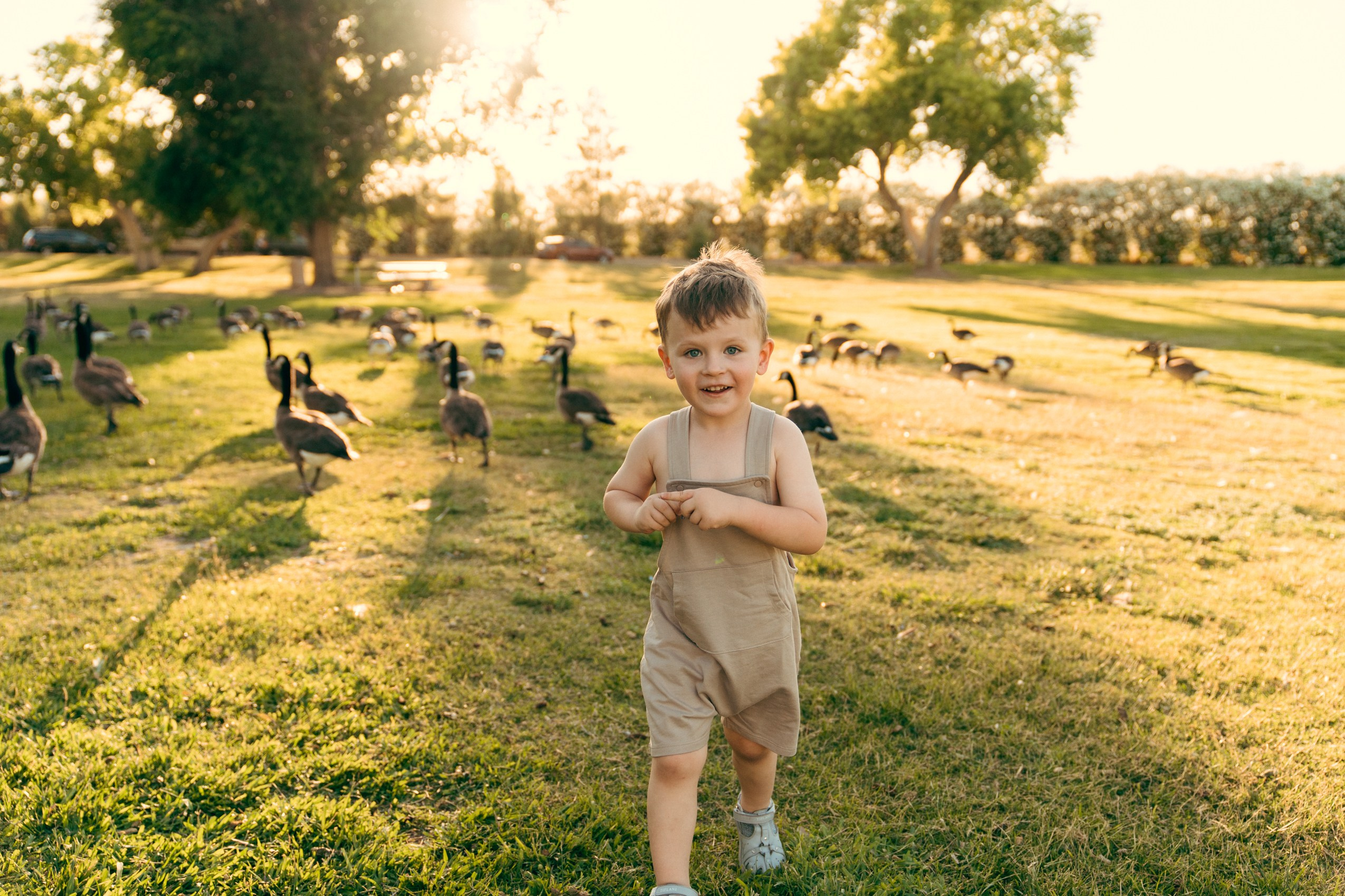 Yulya, Robert&Gordey. Wedding & elopement photographer Viktoriya Kravtsov. Las Vegas