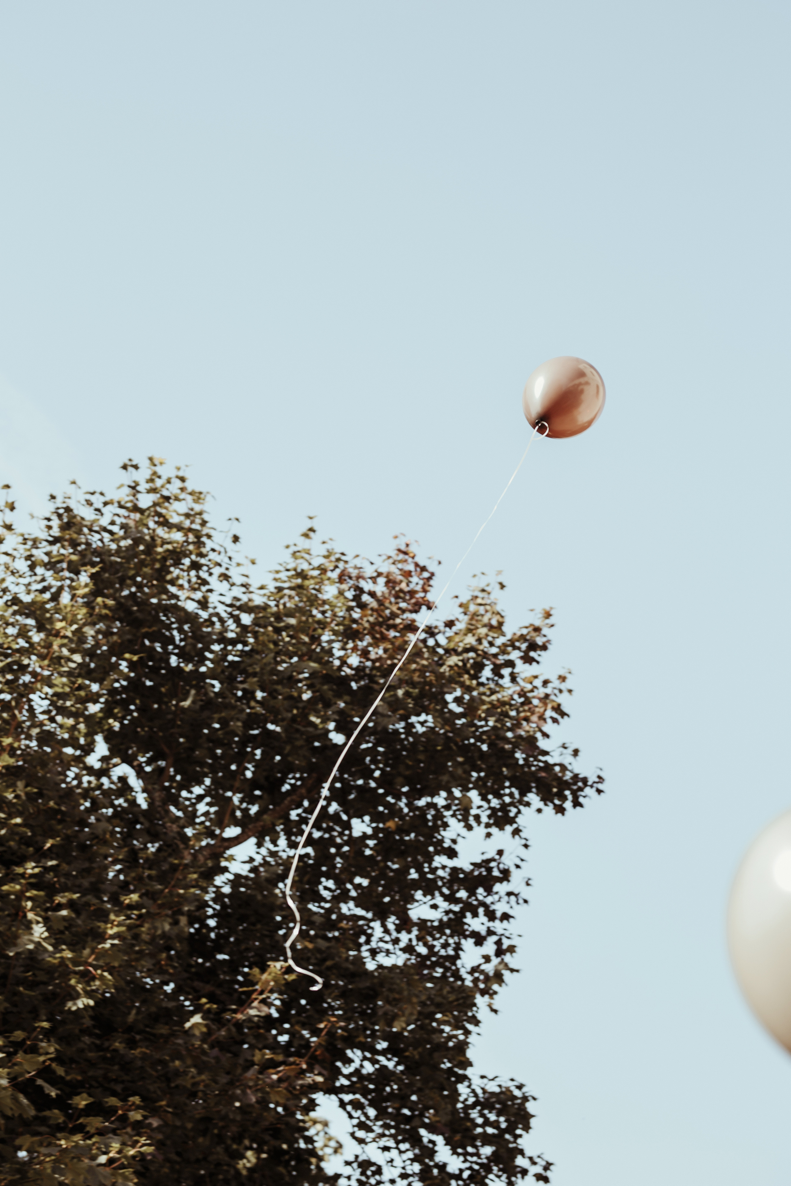 Fredas. Wedding and family photographer in Lithuania — Yvanessa Gelvano