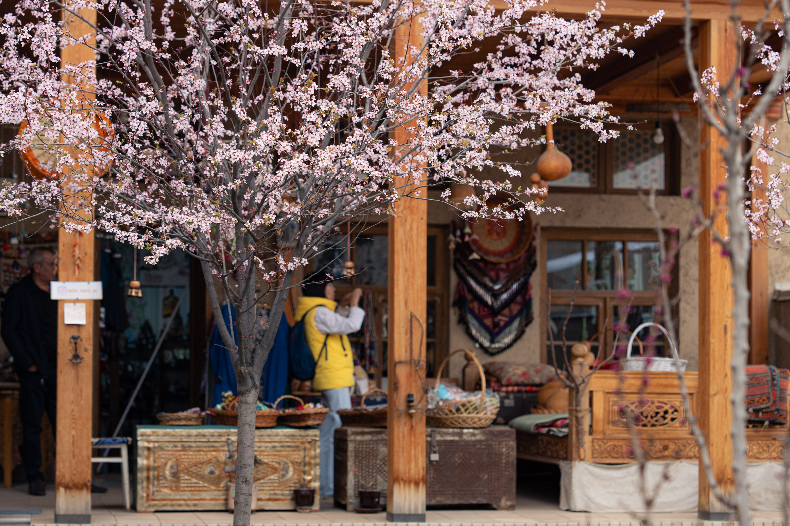 Навруз. Георгий Намазов | Фотограф в Ташкенте