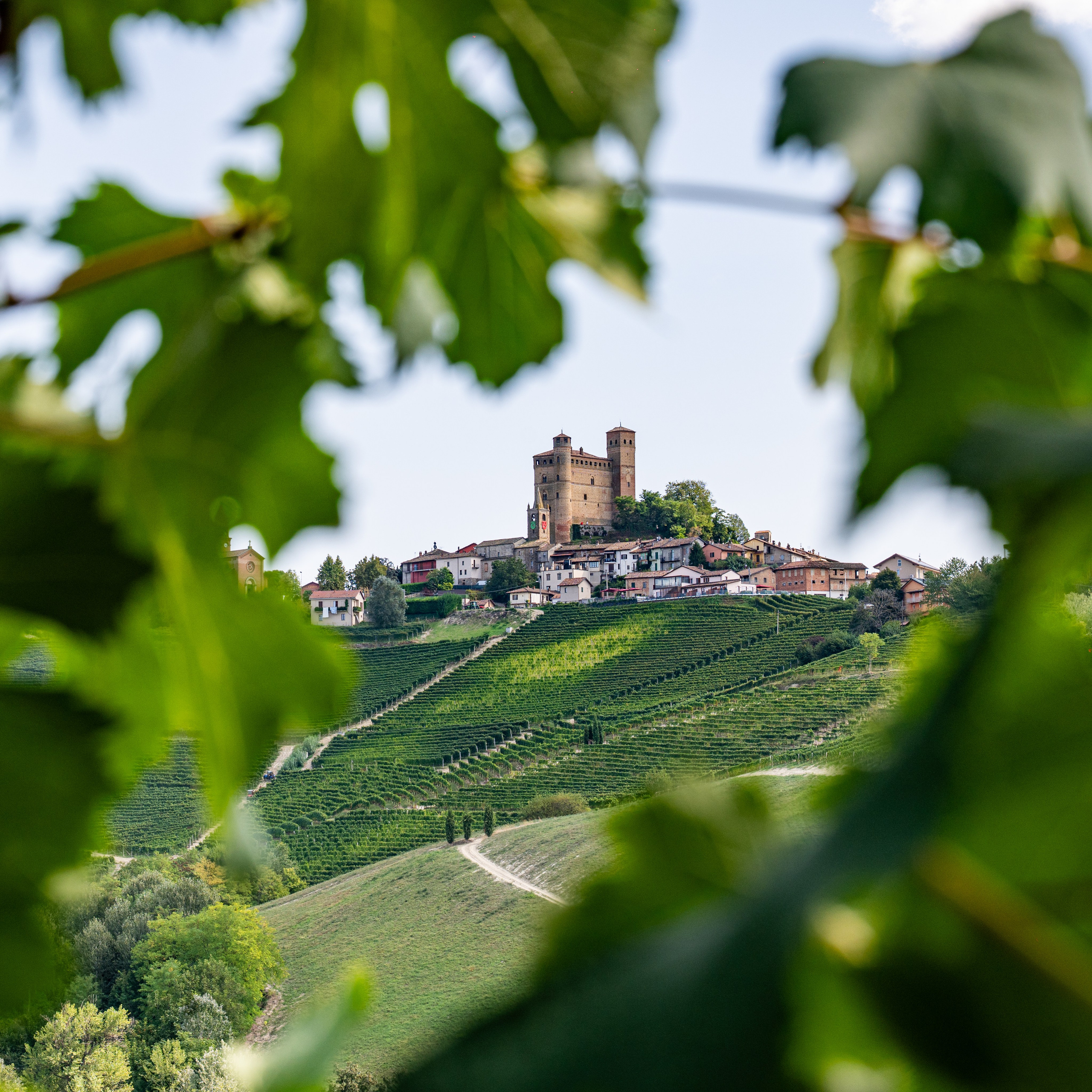 Cantine Boasso Serralunga. “Gianmaria Coscia fotografo per passione”