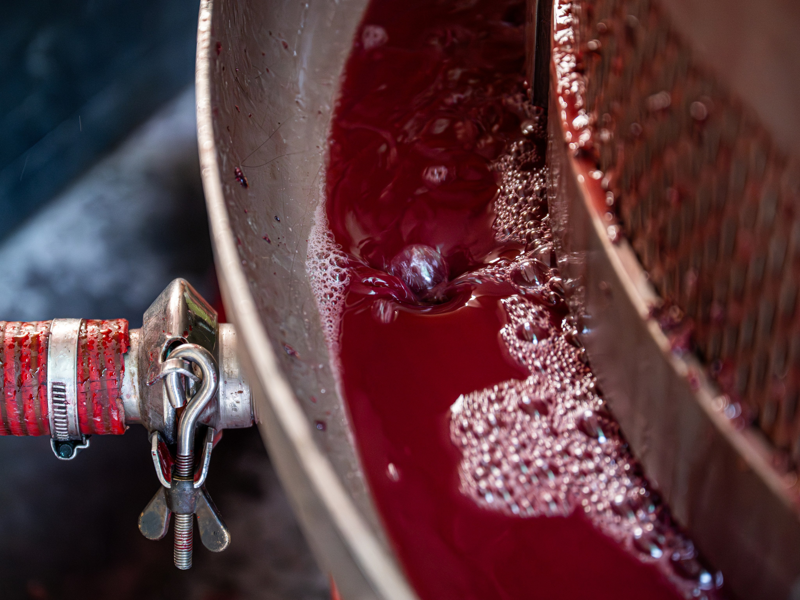 Cantine Boasso Serralunga. “Gianmaria Coscia fotografo per passione”