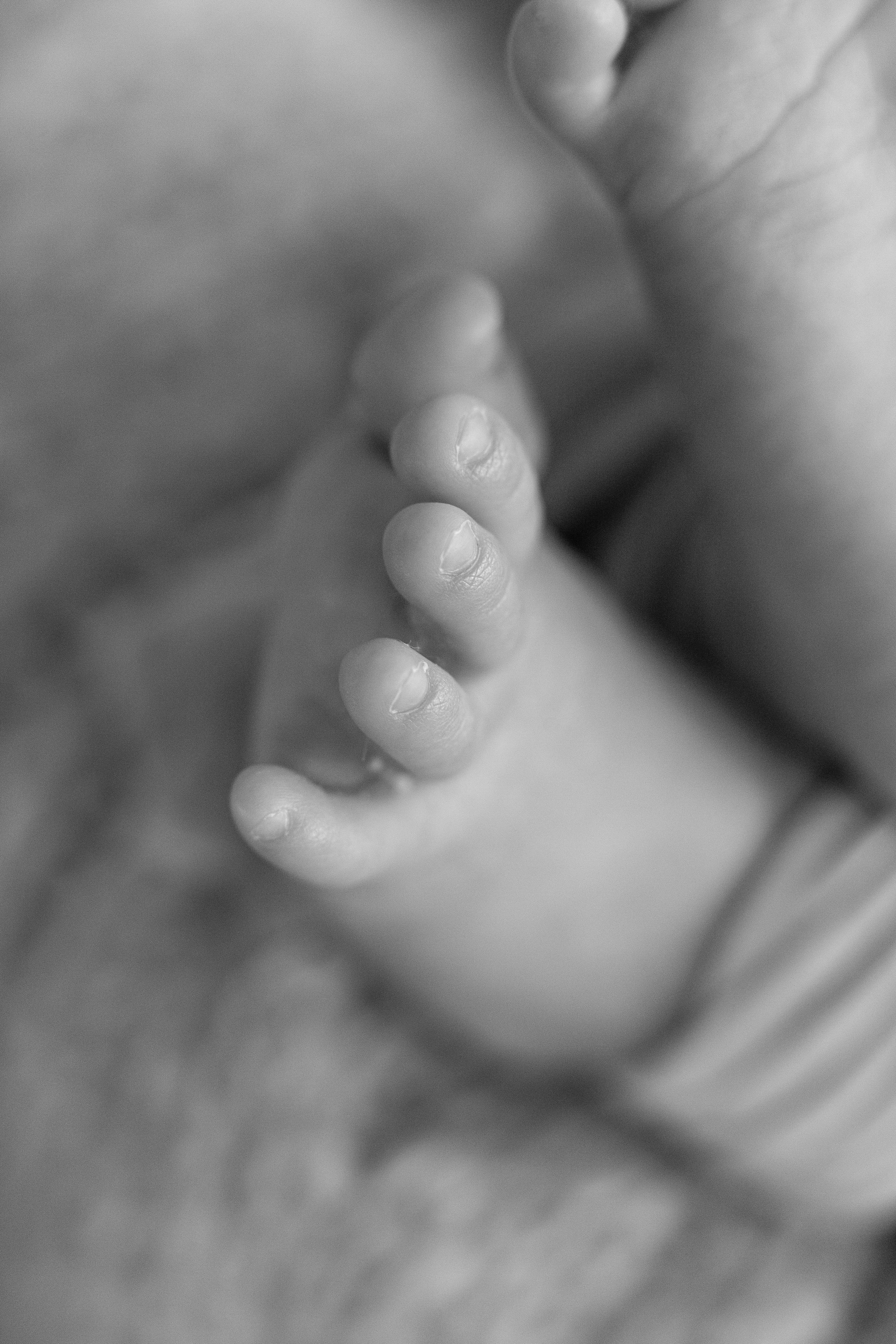 Older newborns. Marina Pravda Photography San Francisco Bay Area