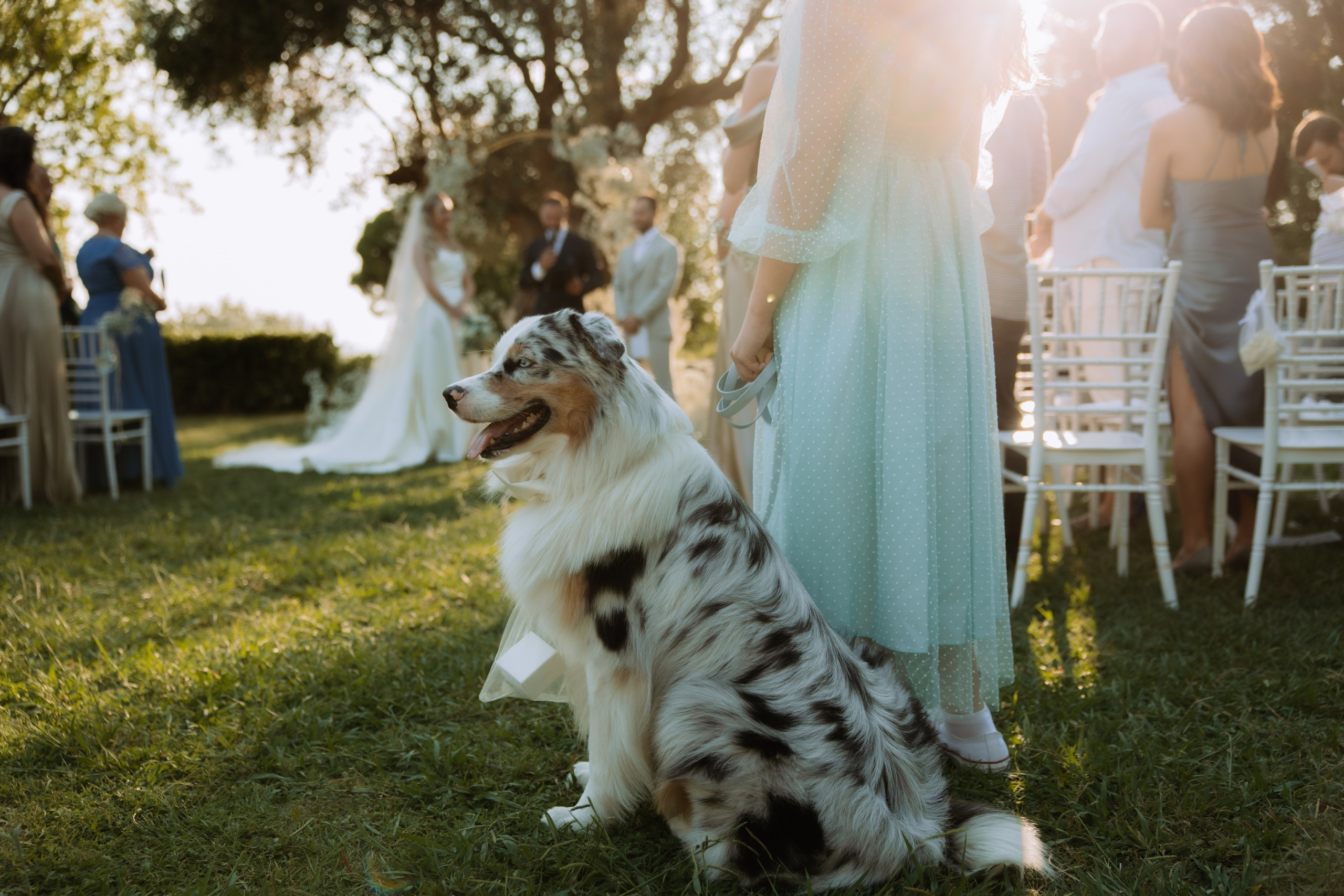 Justyna ir Paulius | 2023 | MONTENEGRO. Vestuvių ir šeimų fotografė Lena Bondarenko / belove photo