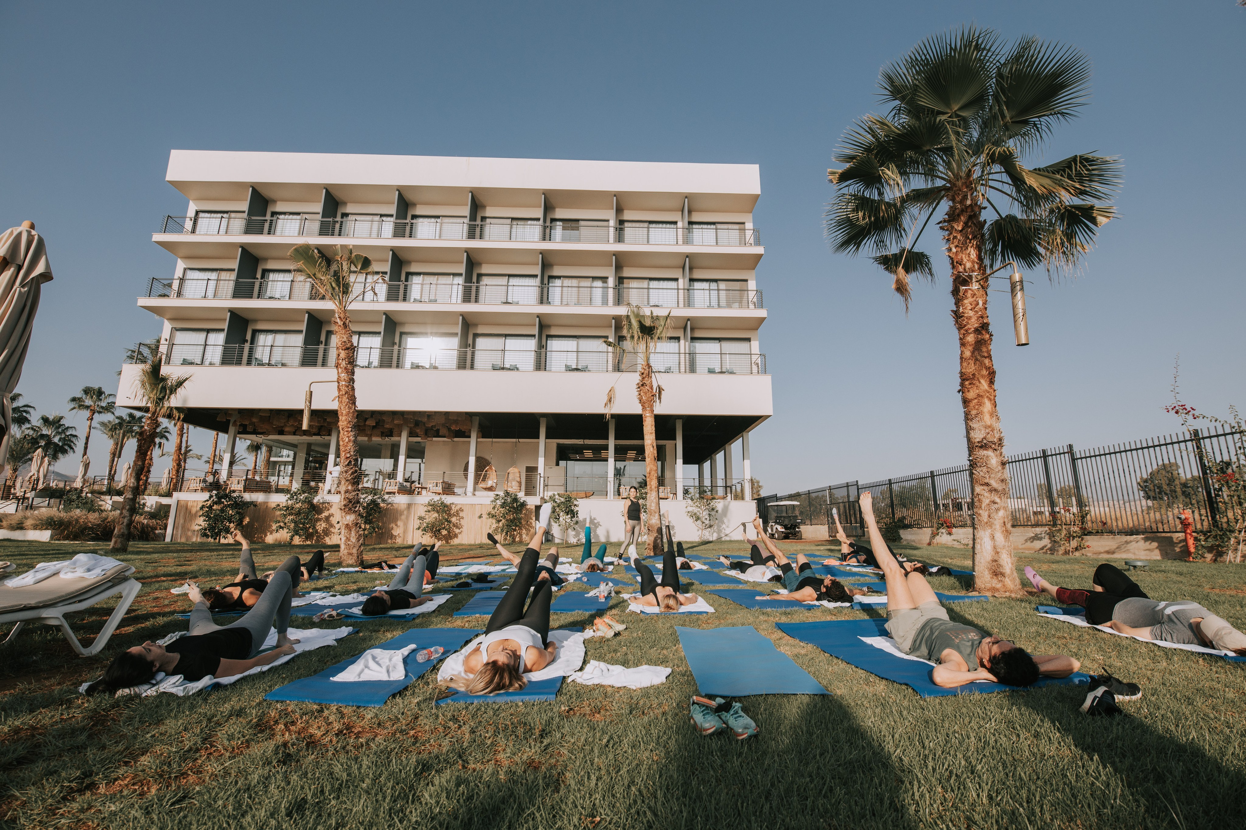 Pfizer. AMIR BUCHNIK PHOTOGRAPHER