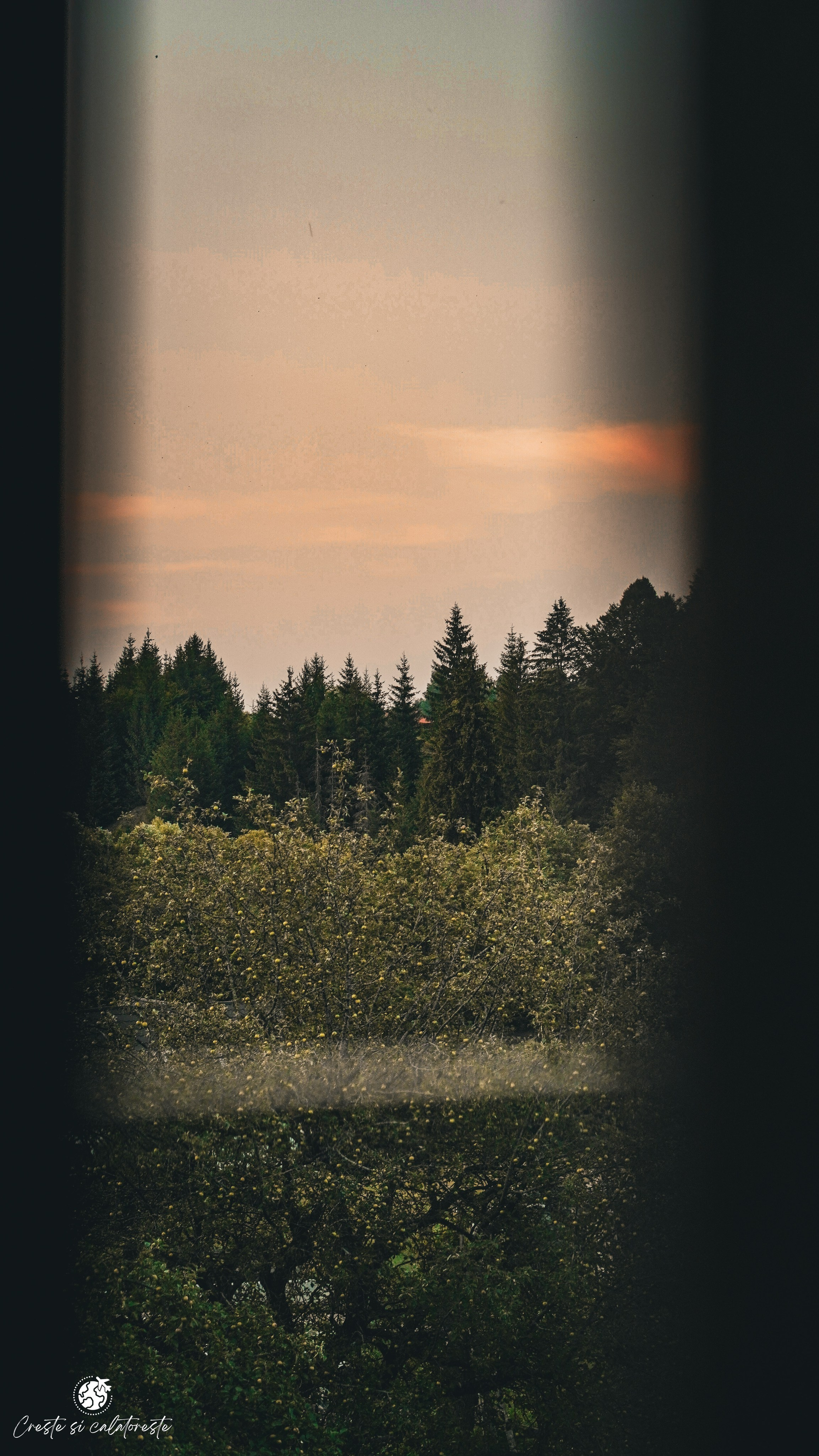 Bransilvania. Creste si calatoreste