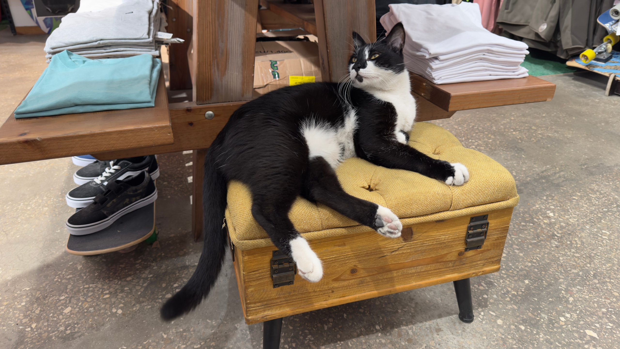 Everything from everything