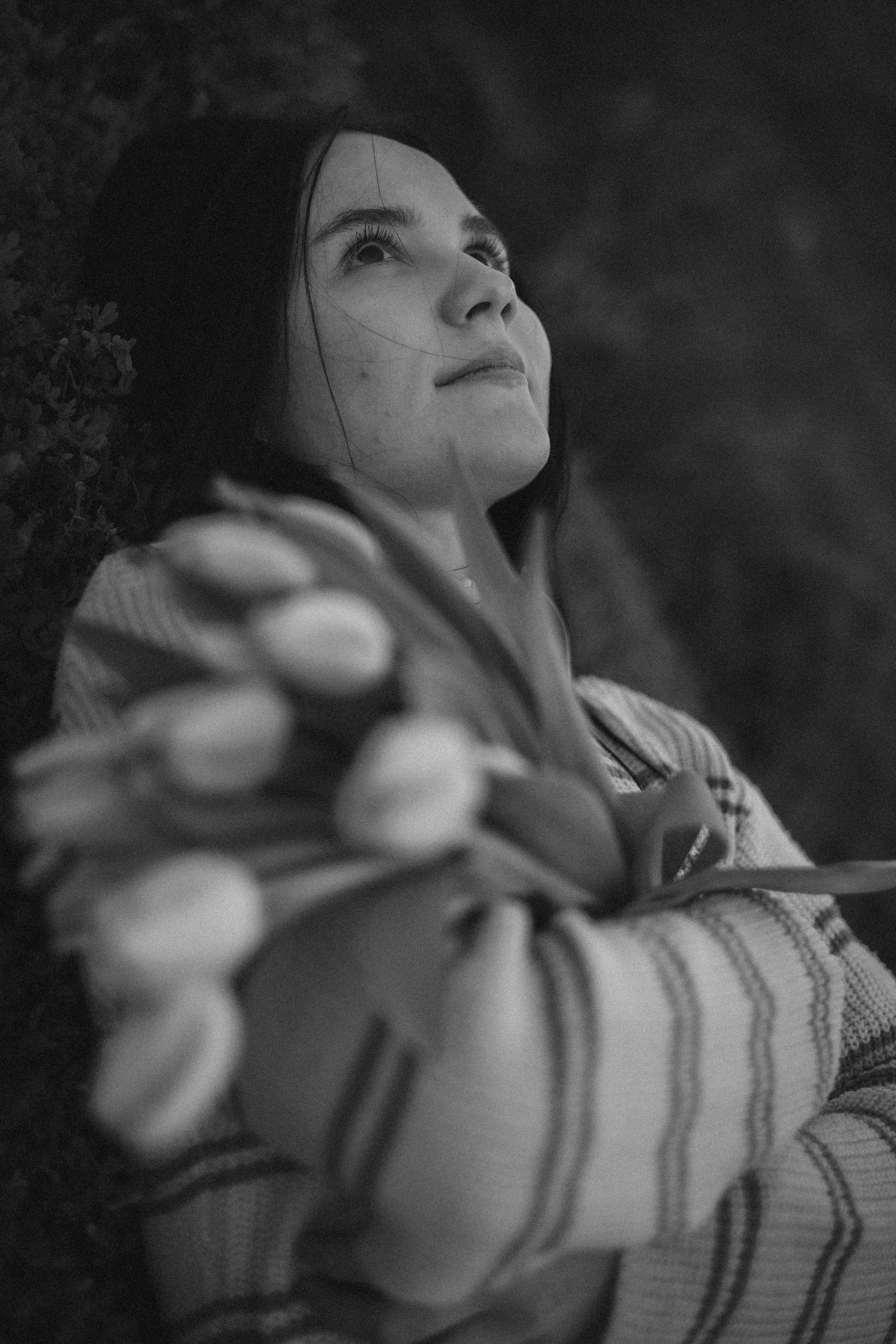 KaTy. TuLiPeS eN jAnViEr. Photographe en Côte d’Azur