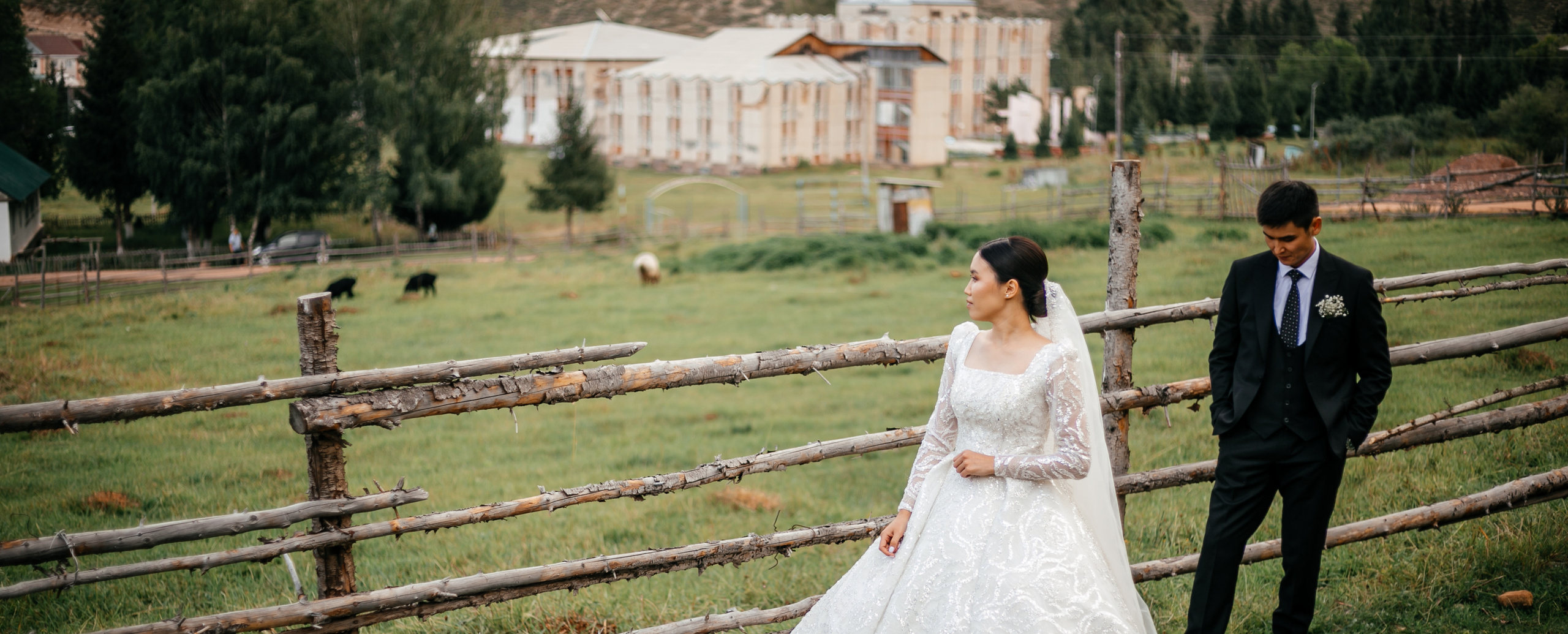 Mandarin PH. Mandarin.photo