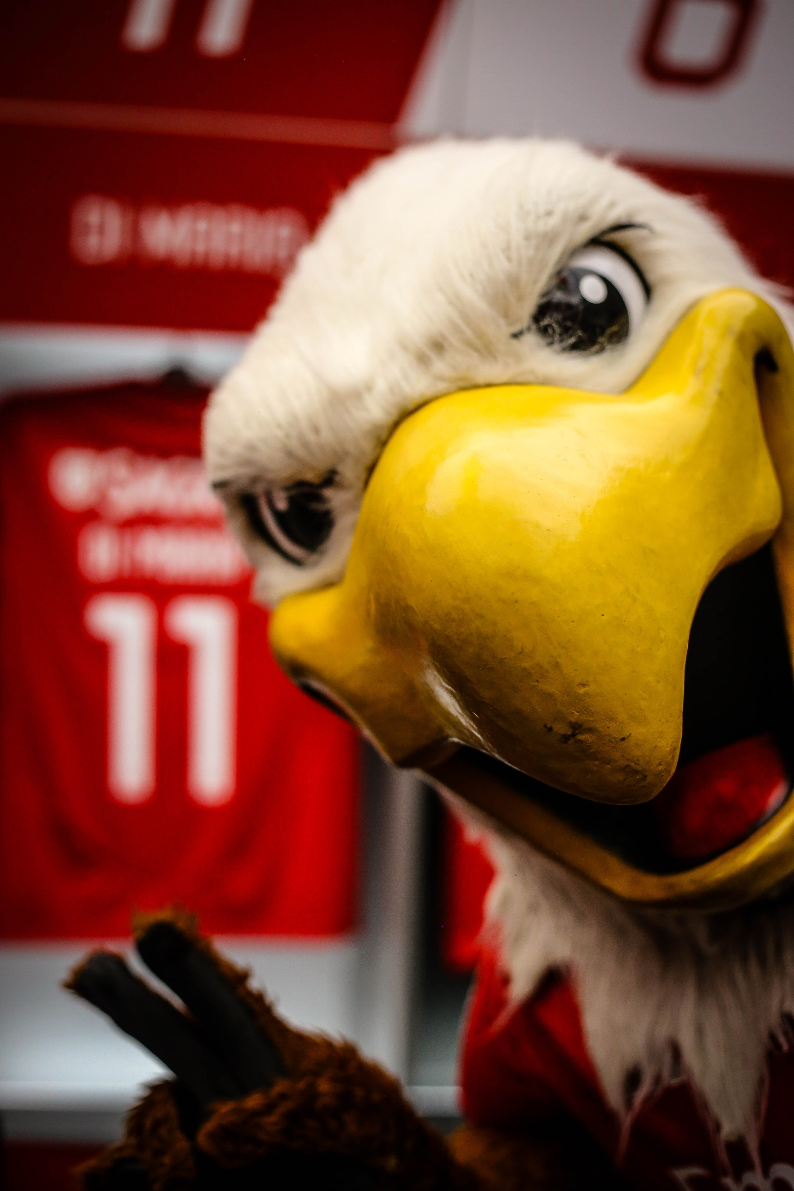 Corporate & Negócios