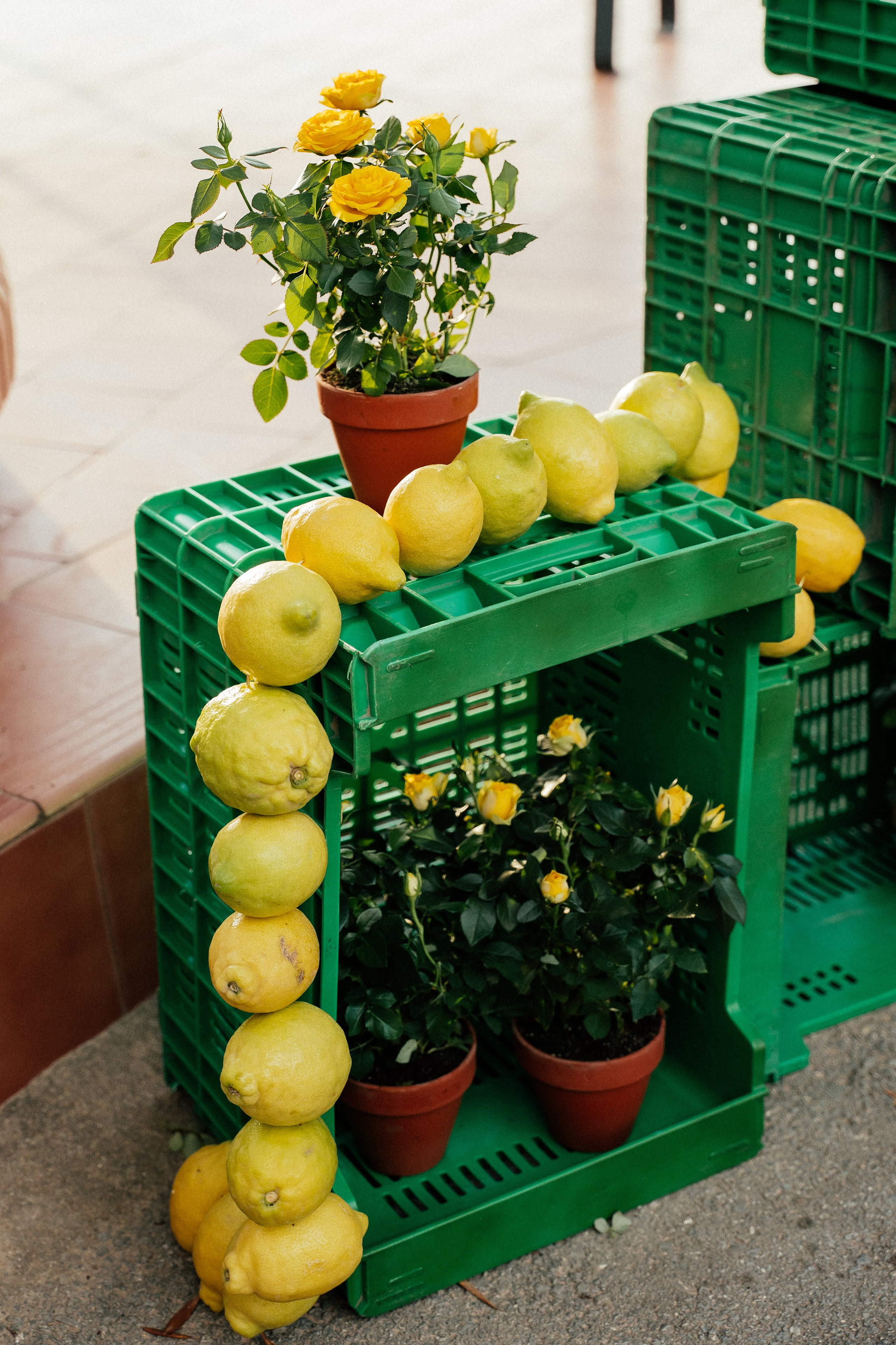 Gonzalo & Maria (Murcia)