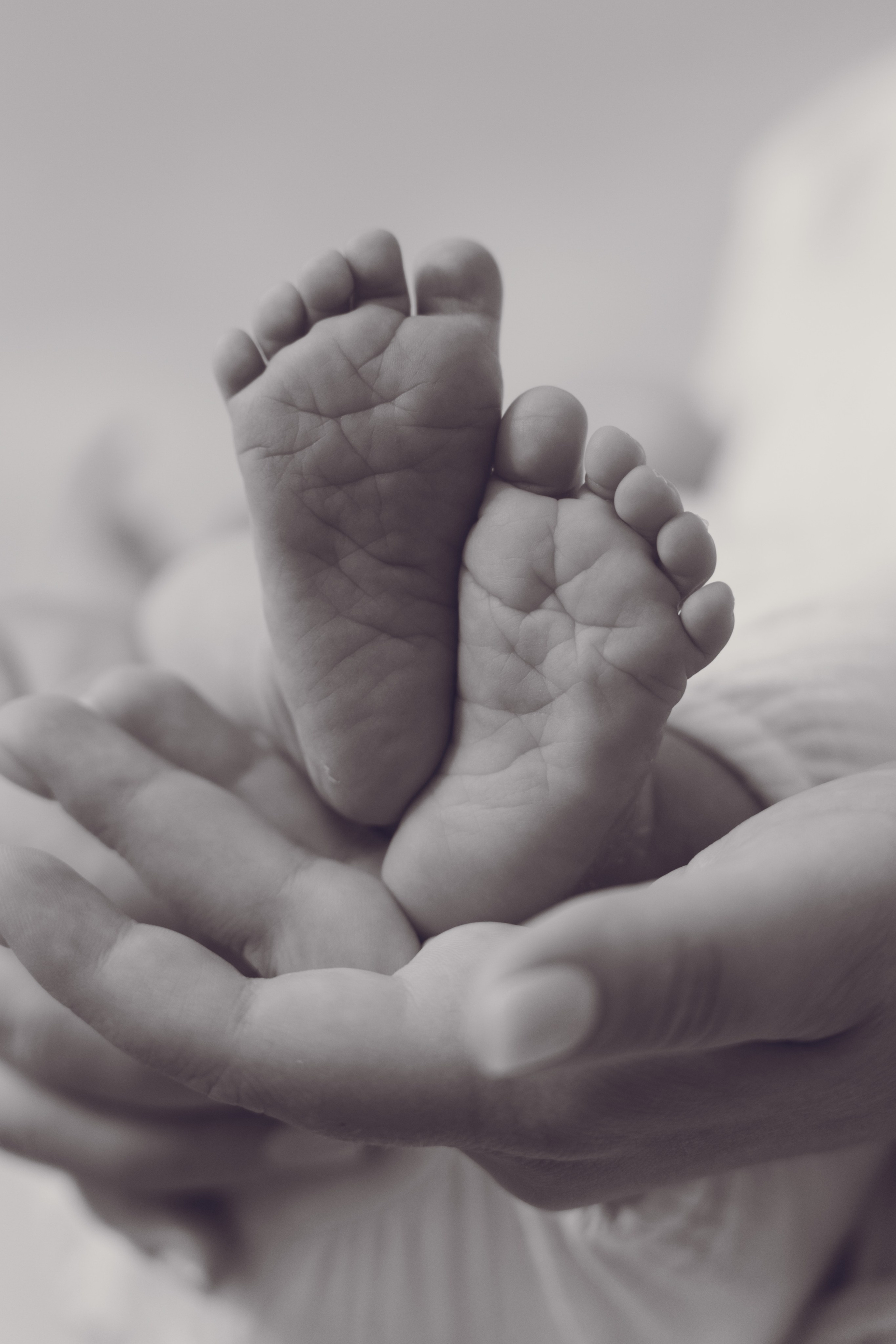 Welcome to the World. Dash_photopic.I’m Daria New York based photographer