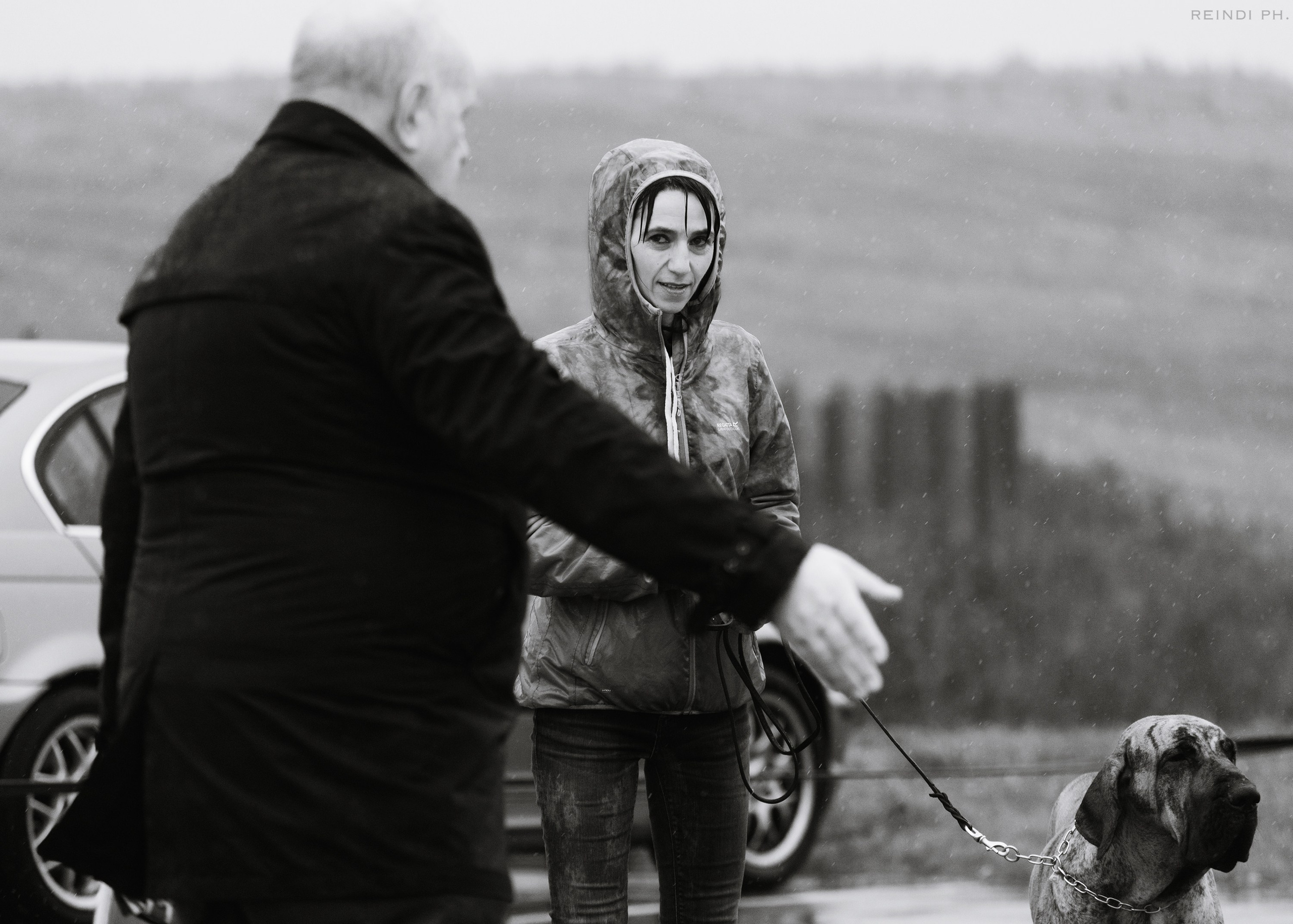 Rainy dog show in Grodno. Kaja | fotograf we Wrocławiu | ludzie i psy