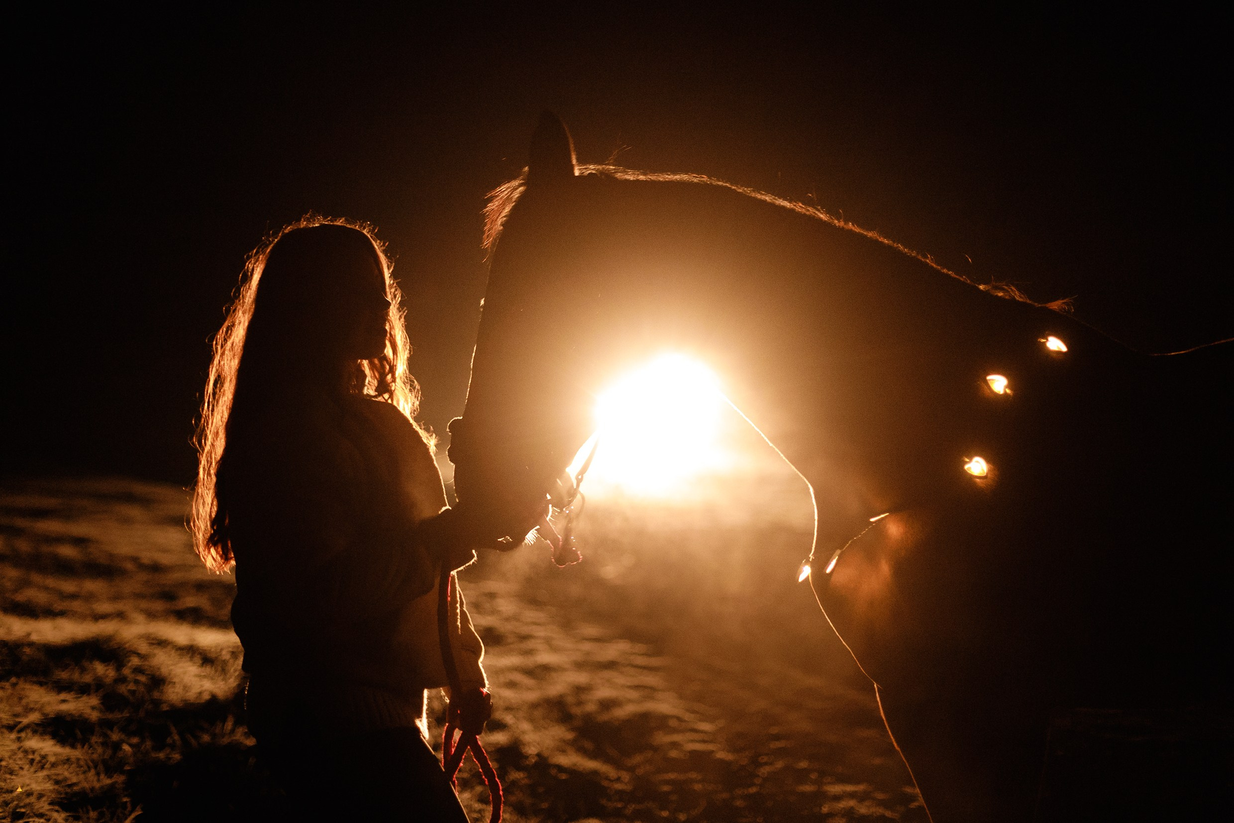 Aibike | winter. Kaja | fotograf psów we Wrocławiu