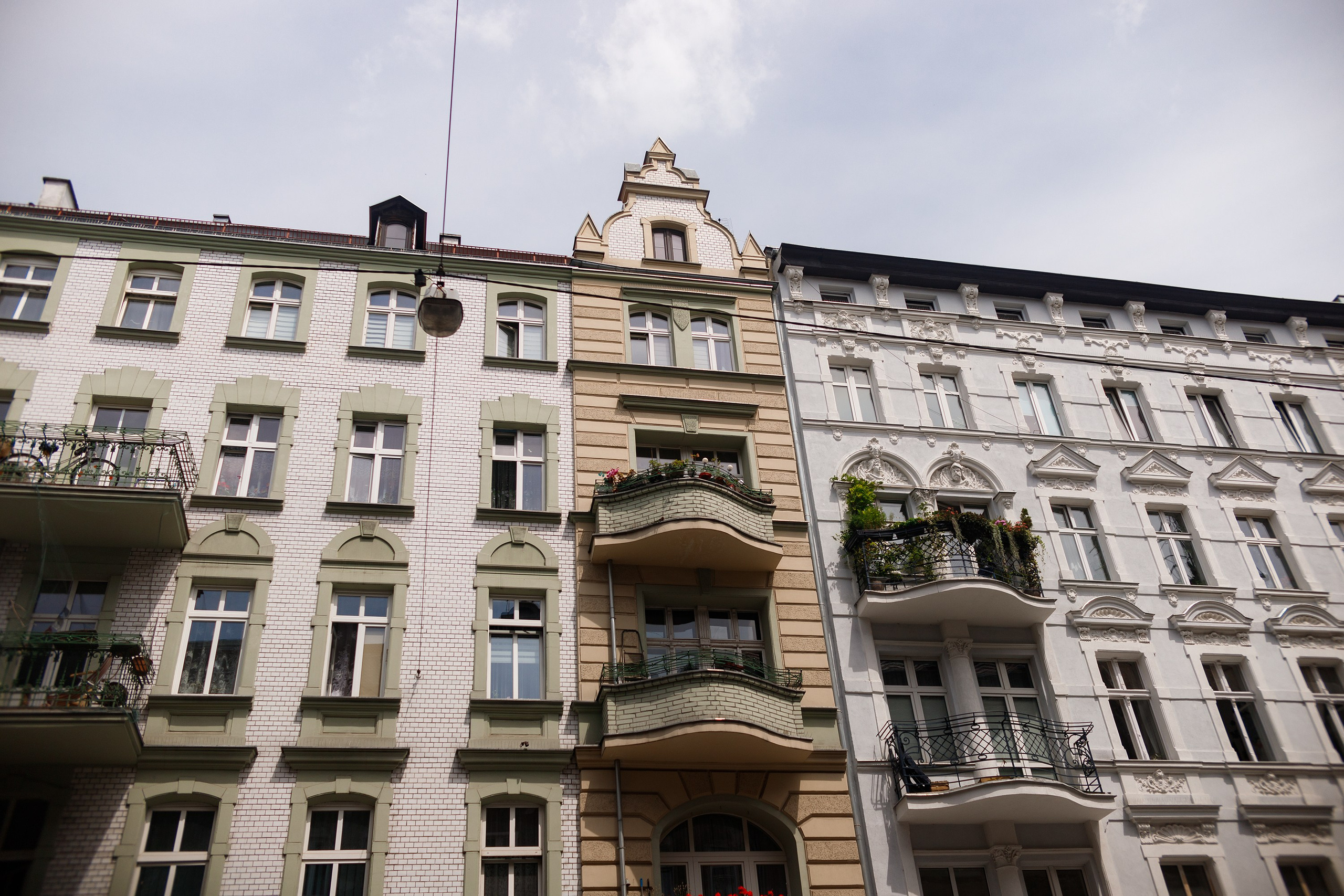 Wroclaw | the best ones. Kaja | fotograf psów we Wrocławiu