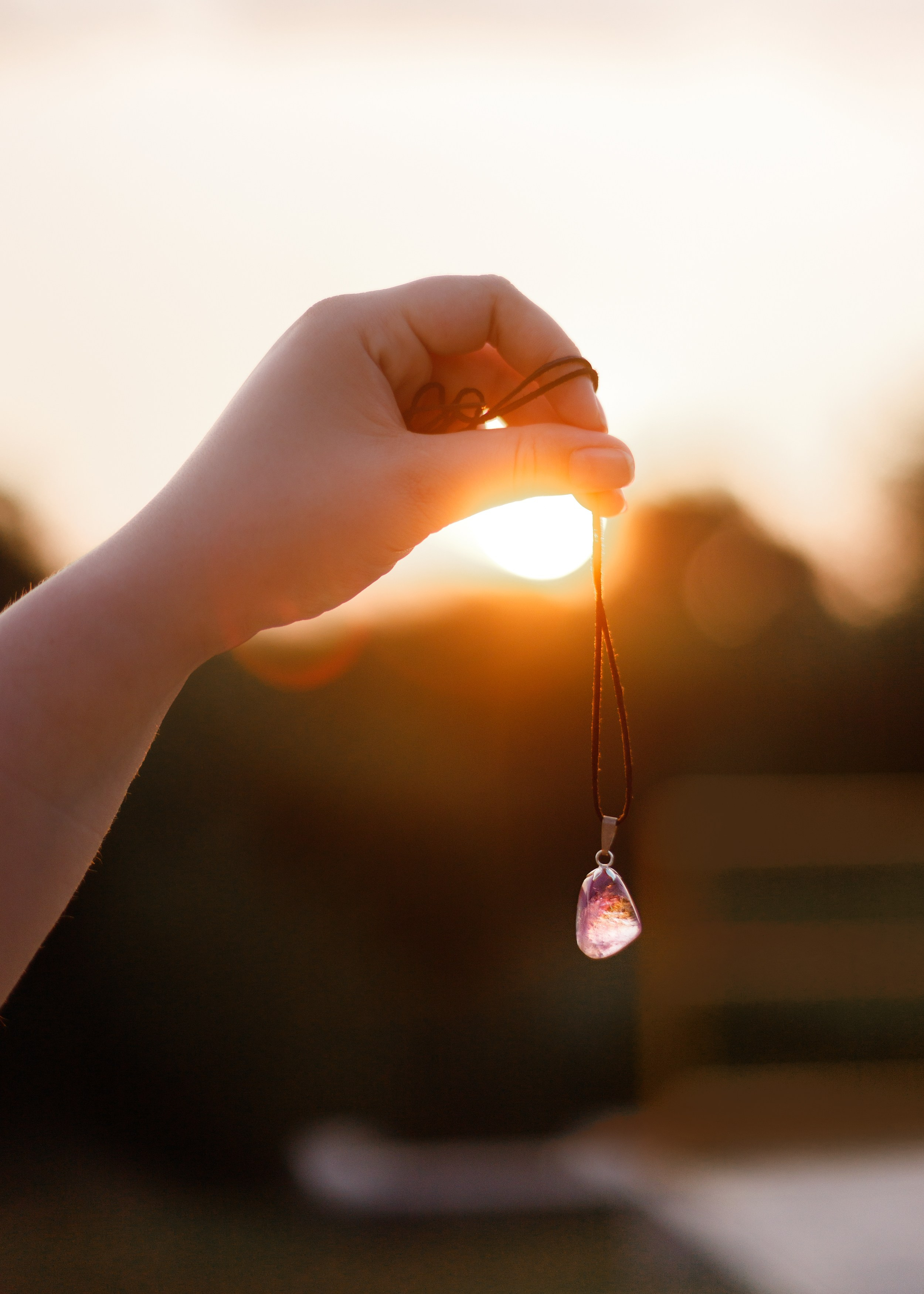 Katya in the field. Kaja | fotograf psów we Wrocławiu