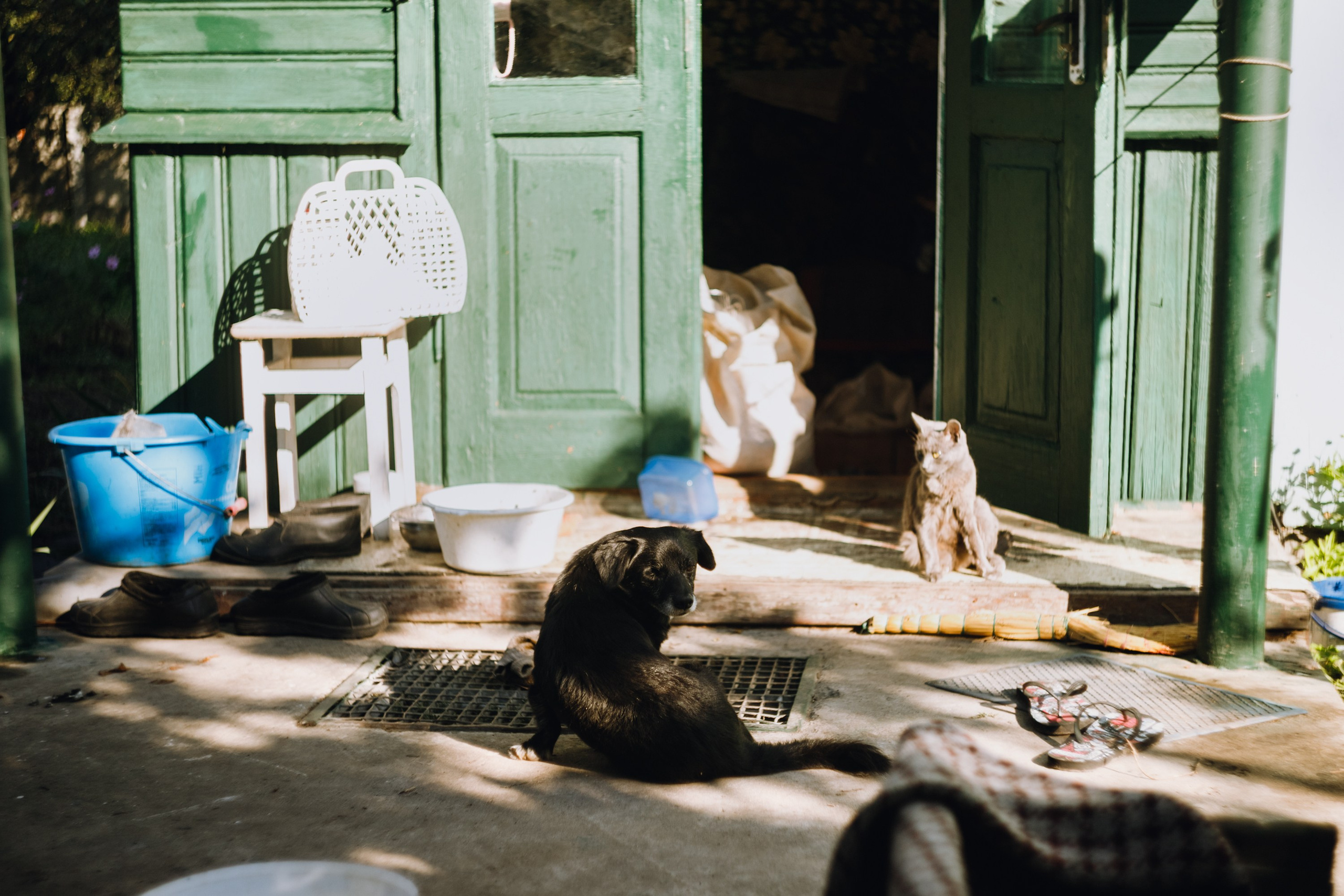 Grandmother's home in Brest. Kaja | fotograf we Wrocławiu | ludzie i psy