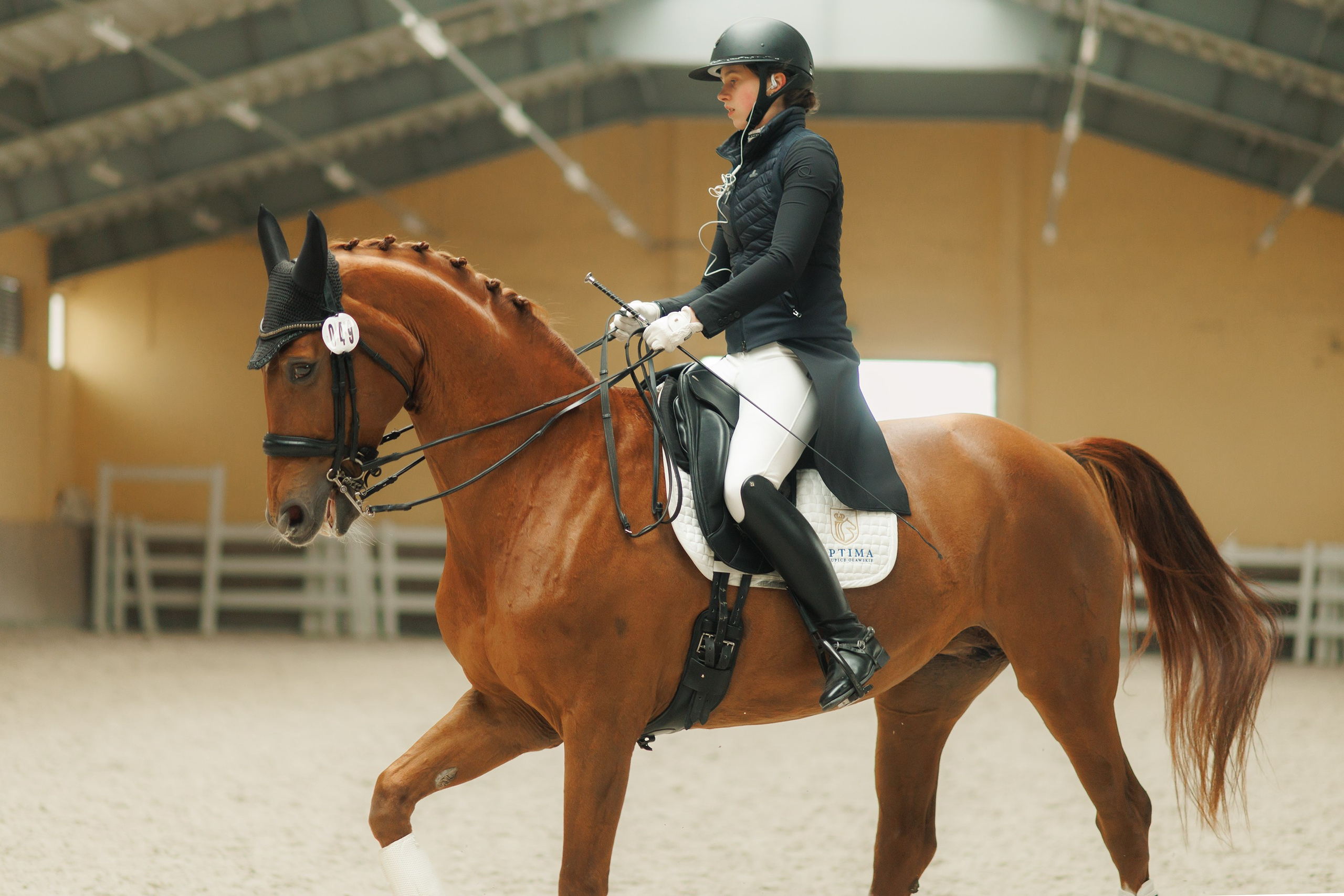 Partynice dressage \ feb'25. Kaja | fotograf we Wrocławiu | ludzie i psy