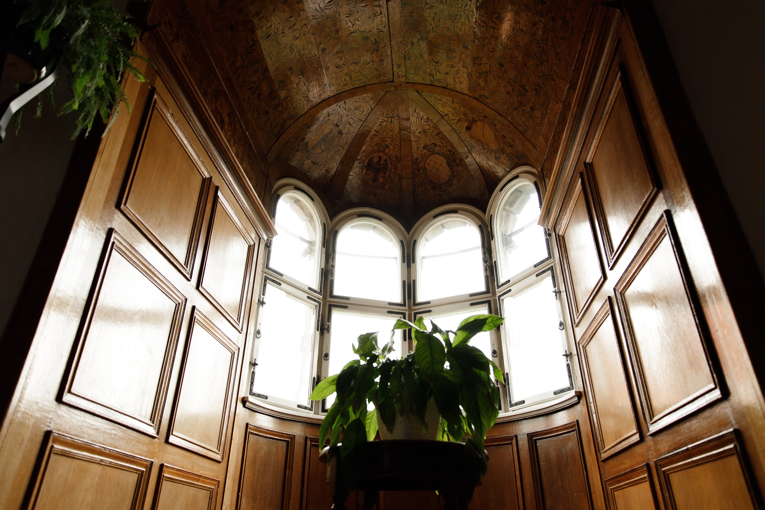 Oleśnica castle. Kaja | fotograf psów we Wrocławiu