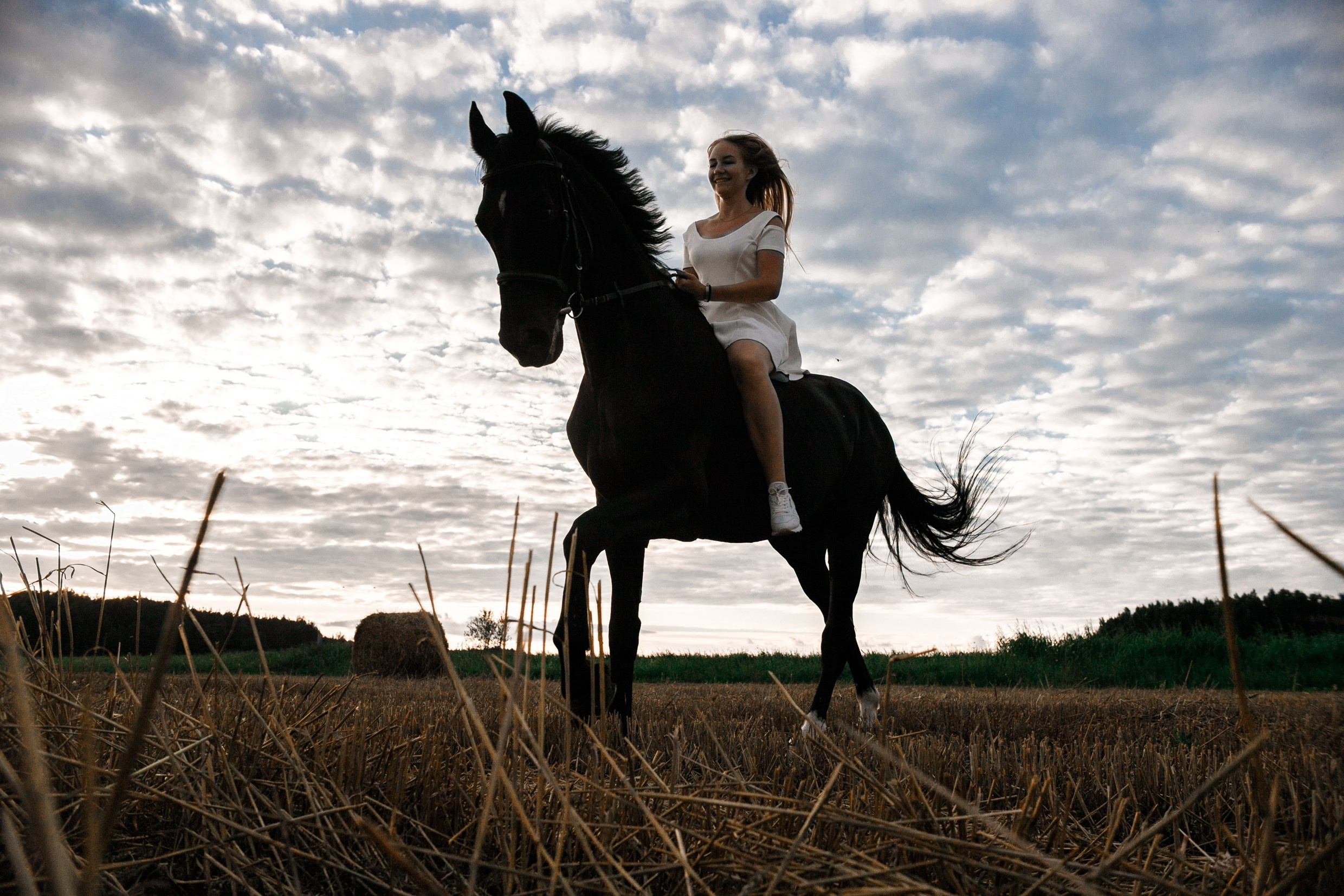 One sunset. Kaja | fotograf psów we Wrocławiu
