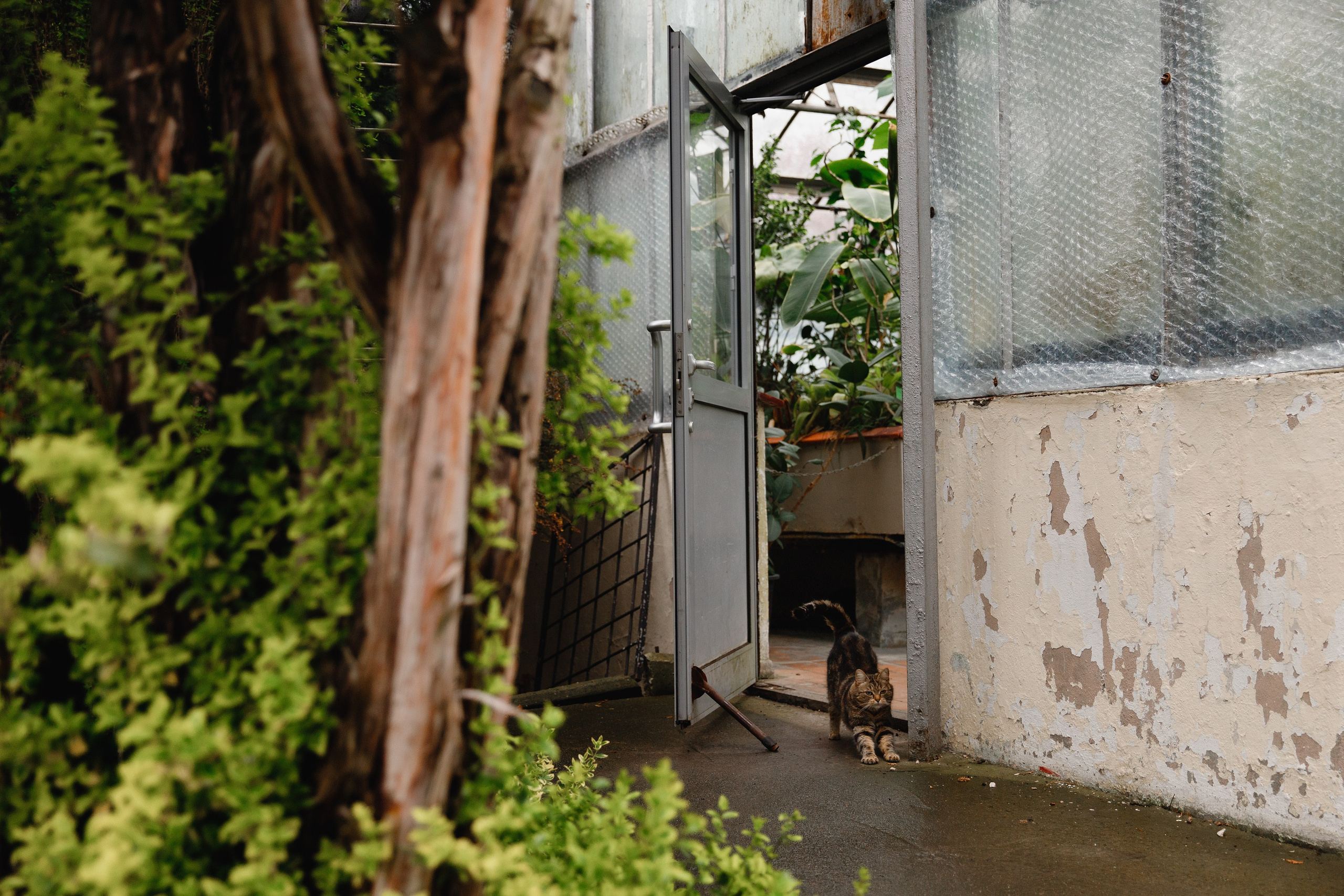 Botanical garden in Wroclaw. Kaja | fotograf we Wrocławiu | ludzie i psy