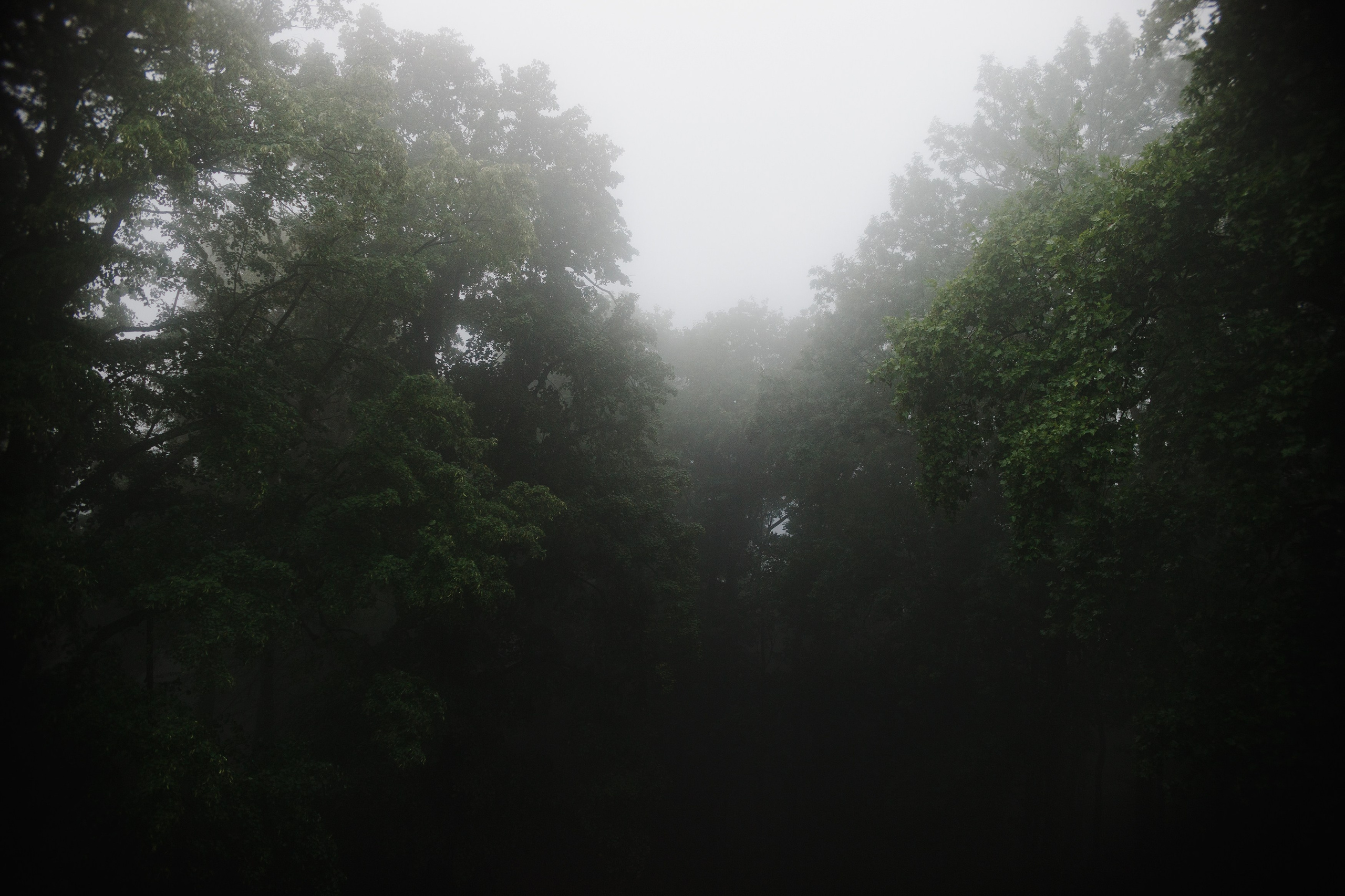 Zamek Grodziec. Kaja | fotograf psów we Wrocławiu