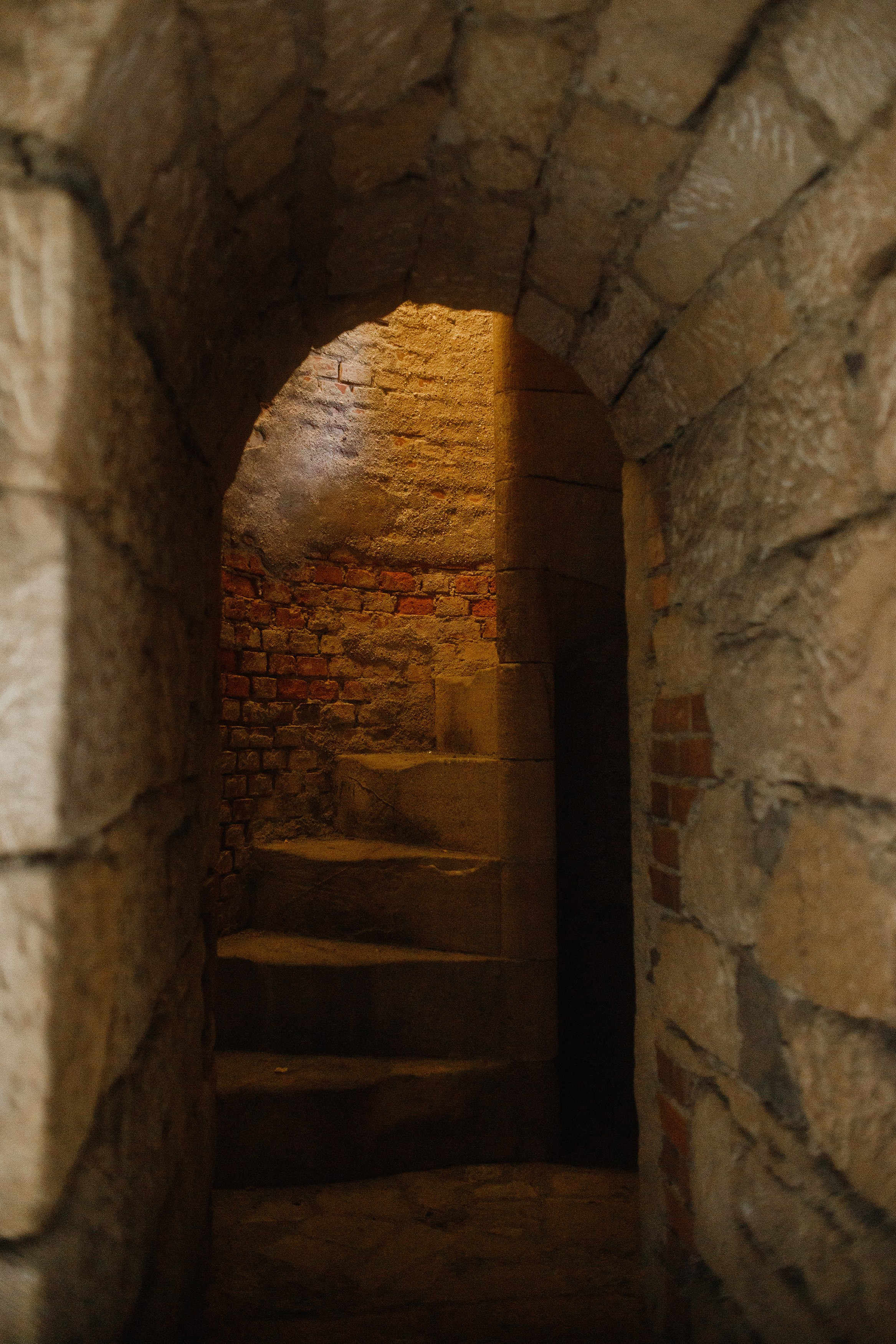 Zamek Grodziec. Kaja | fotograf psów we Wrocławiu